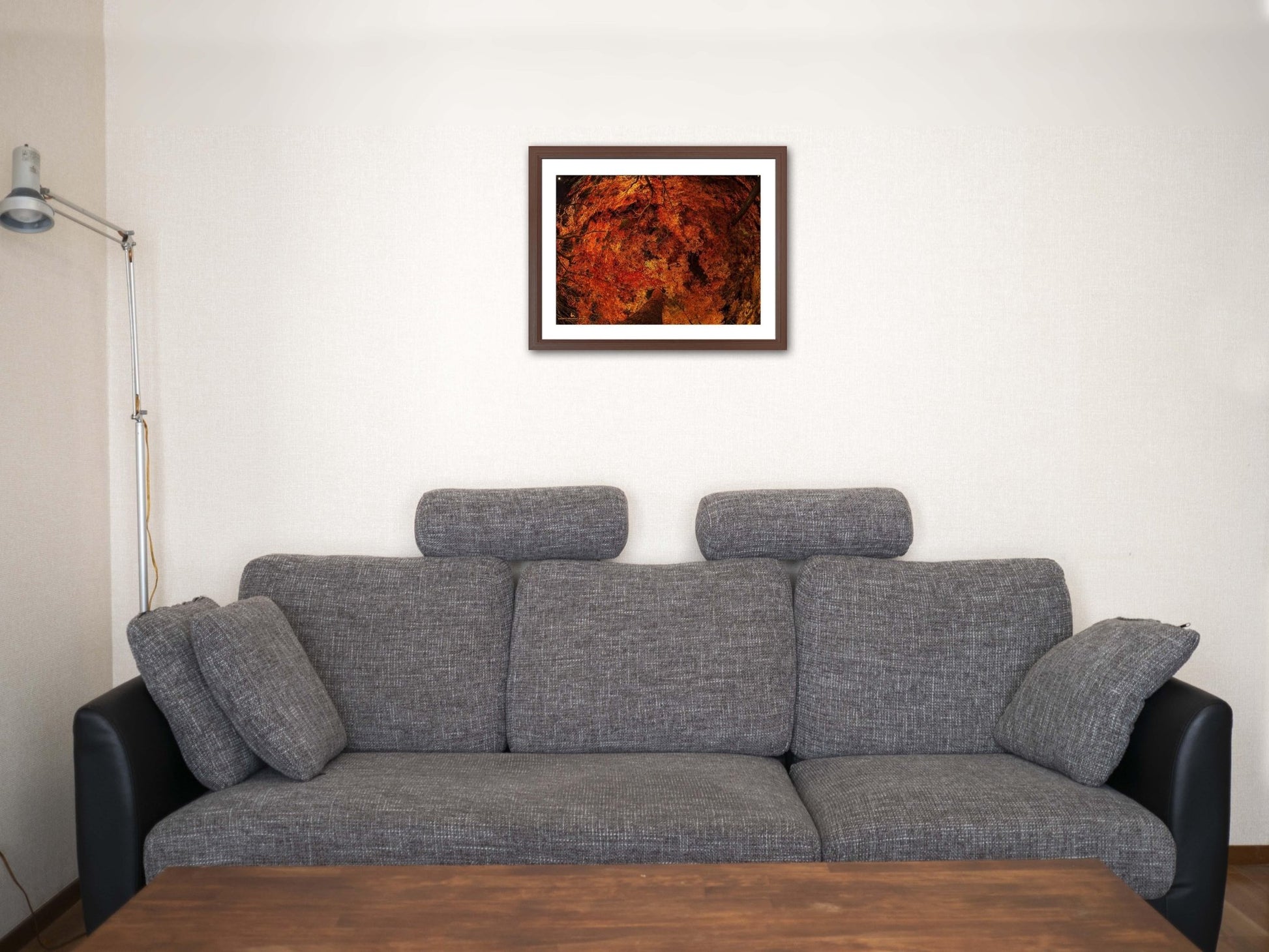 【額付アート写真/A3ノビ】GORGEOUS ORANGE（豪華絢爛なオレンジ） - FROM ARTIST