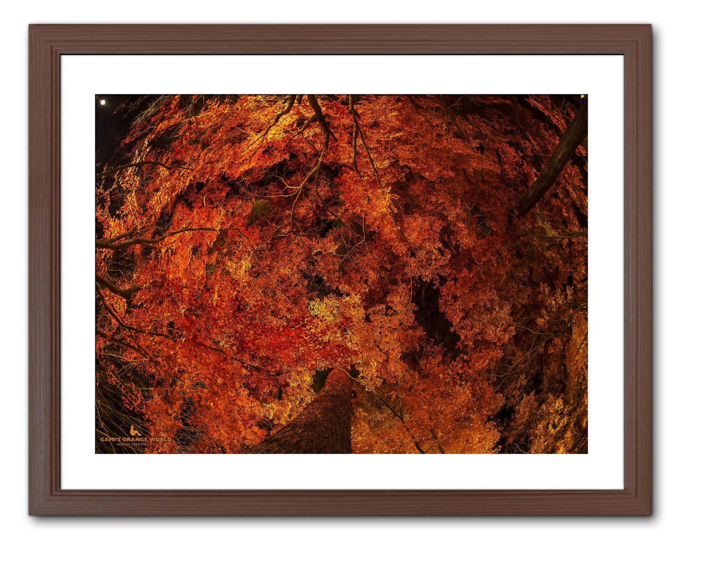【額付アート写真/A3ノビ】GORGEOUS ORANGE（豪華絢爛なオレンジ） - FROM ARTIST