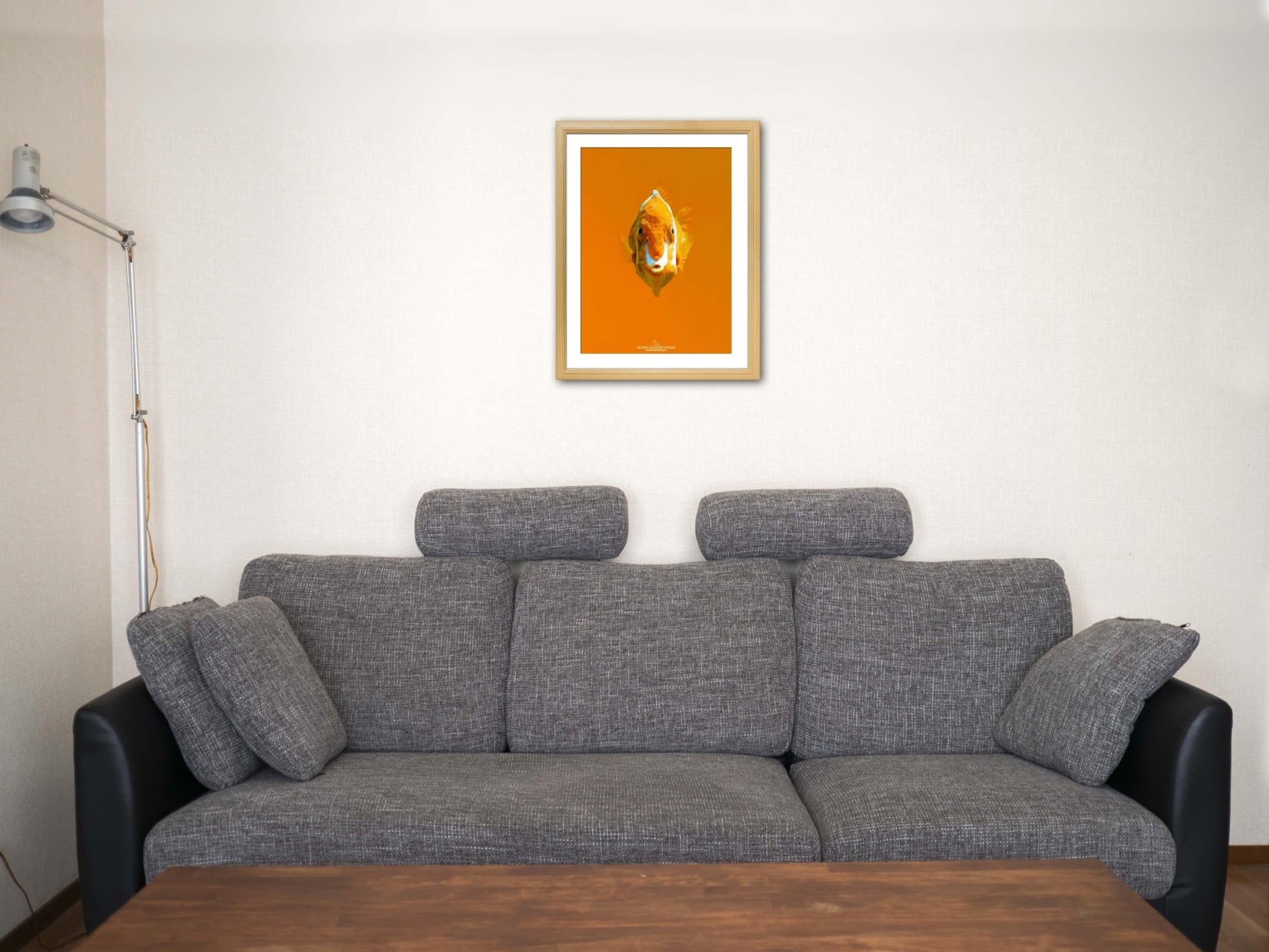 【額付アート写真/A3ノビ】ORANGE IS WATCHING（オレンジは見ている） - FROM ARTIST