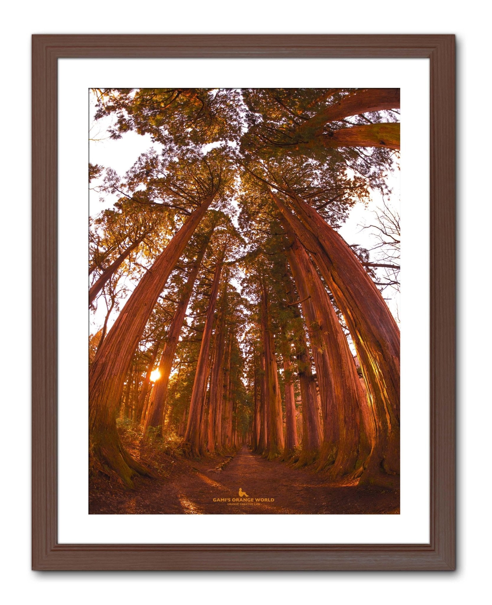 絵画の通販、購入ならFROM ARTIST/存在感抜群！Large Size作品一覧