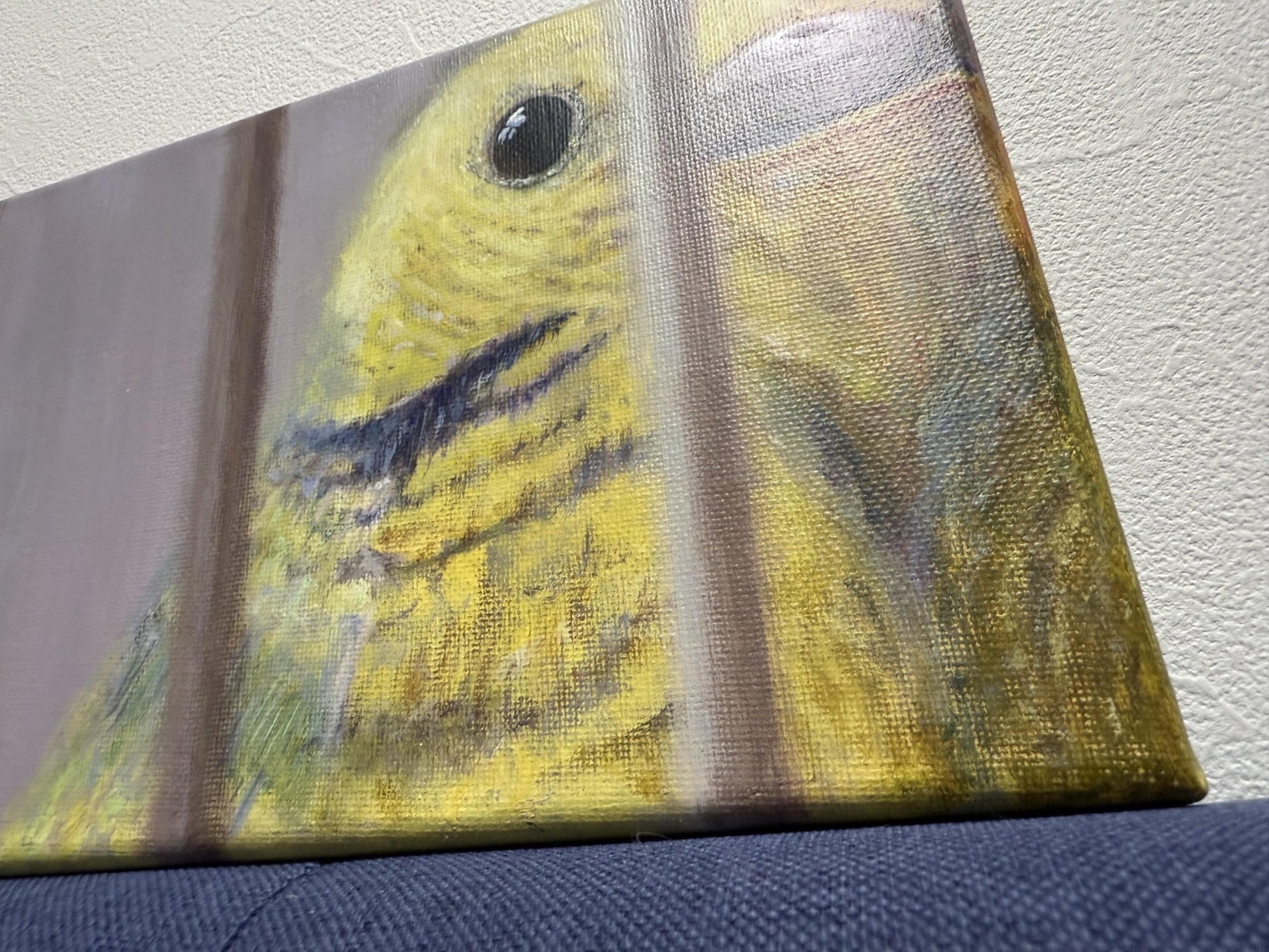 bird cage - FROM ARTIST