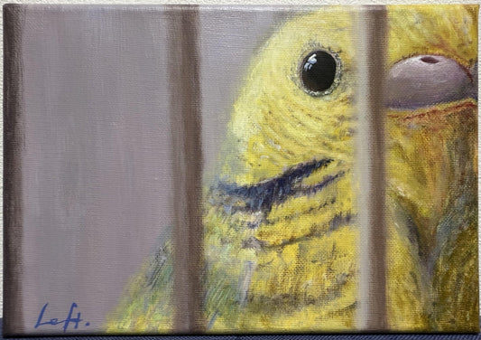 bird cage - FROM ARTIST