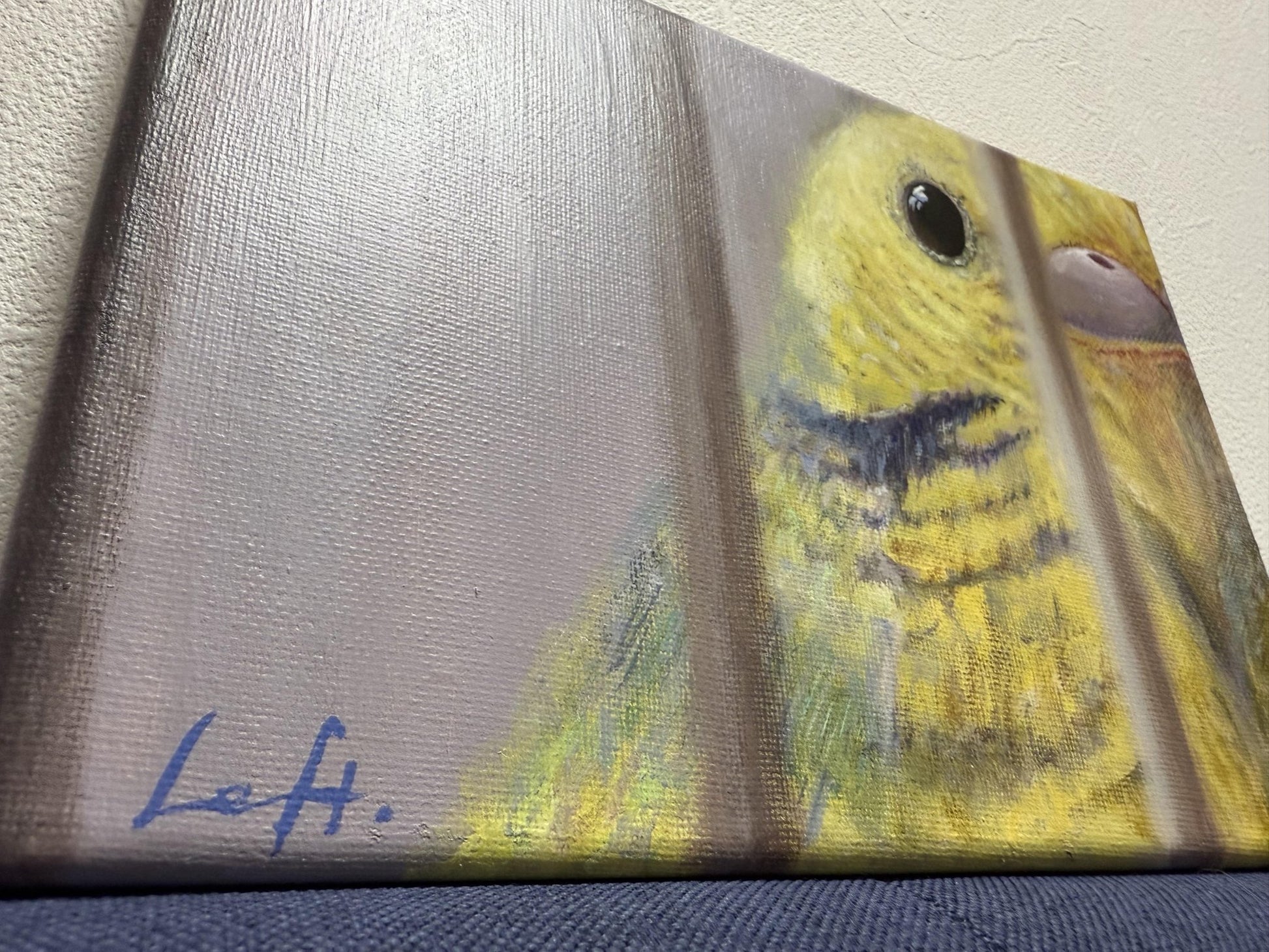 bird cage - FROM ARTIST