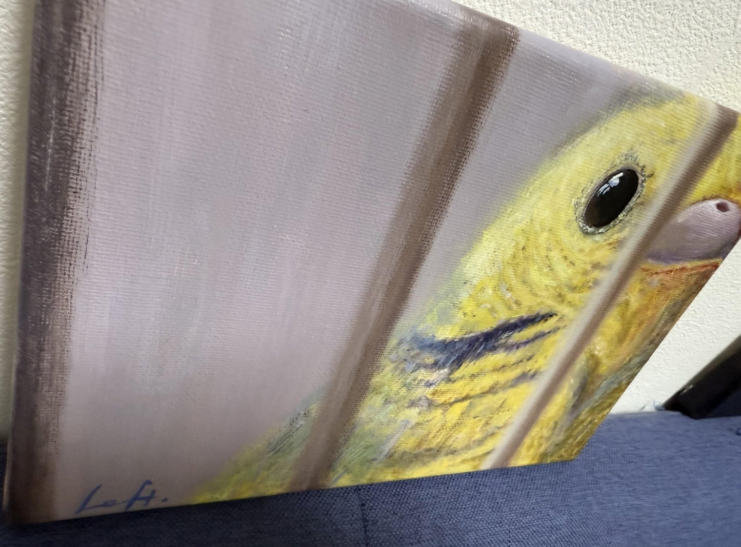 bird cage - FROM ARTIST