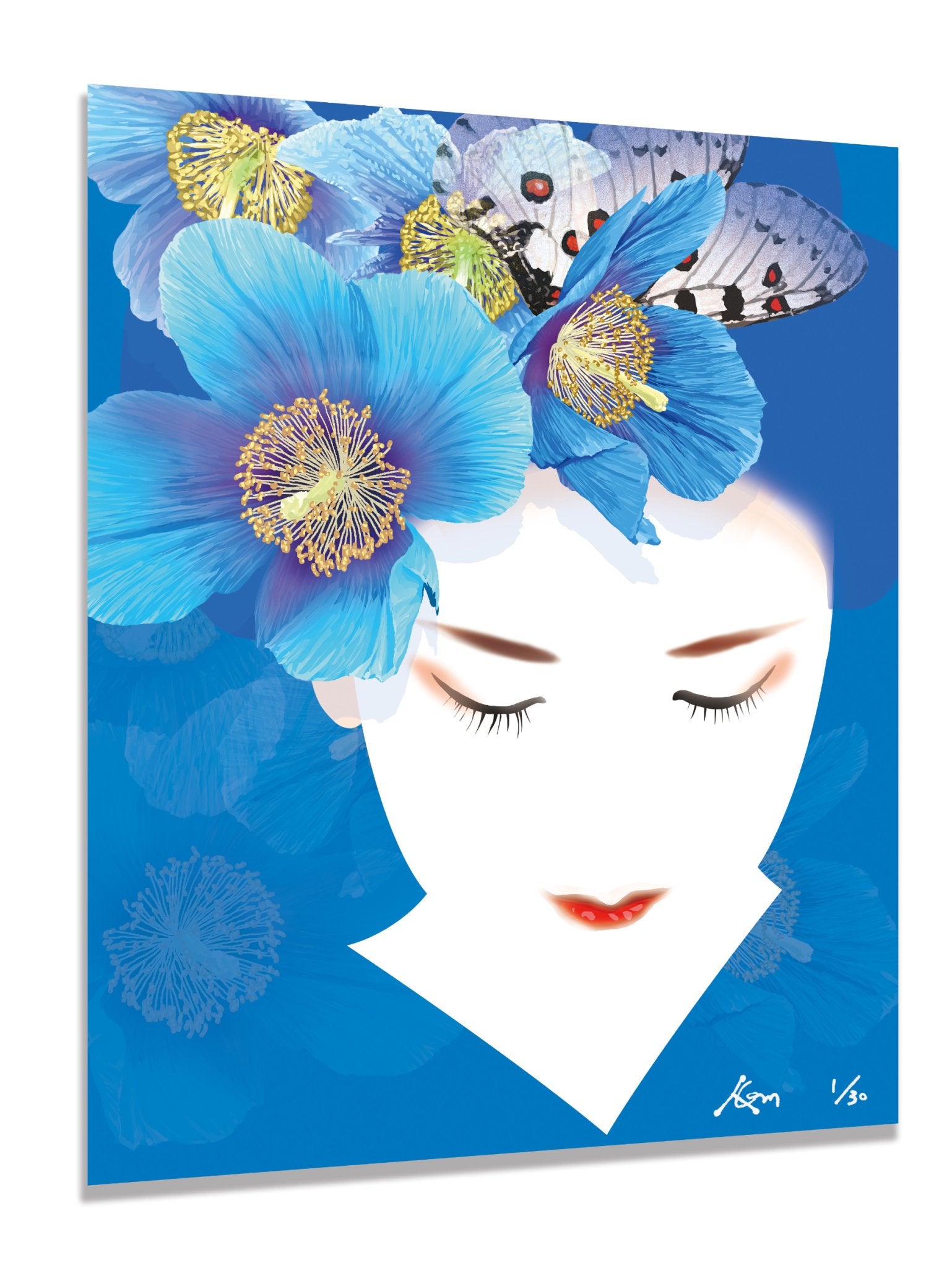 blue poppy - FROM ARTIST