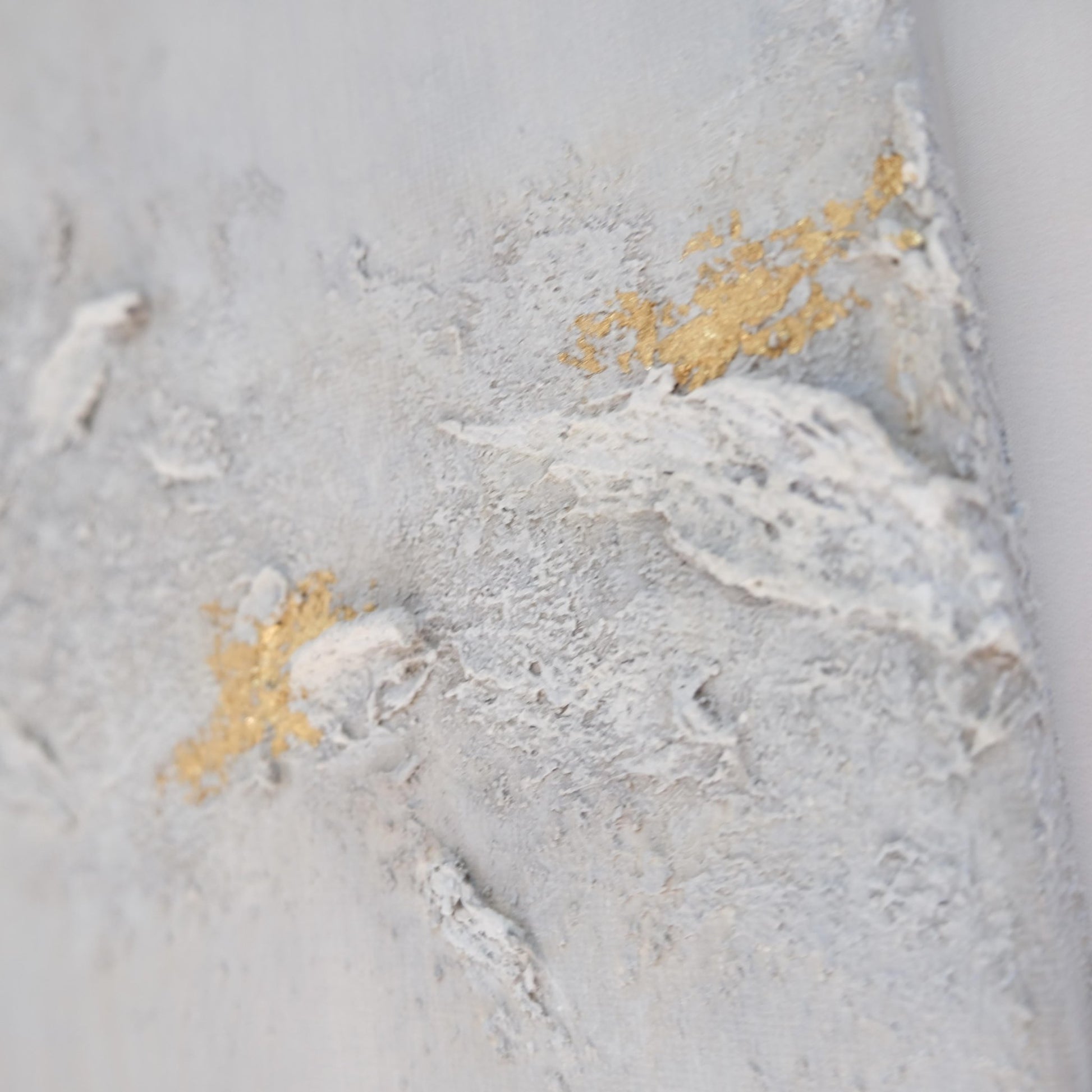 静けさの光り - cool - FROM ARTIST