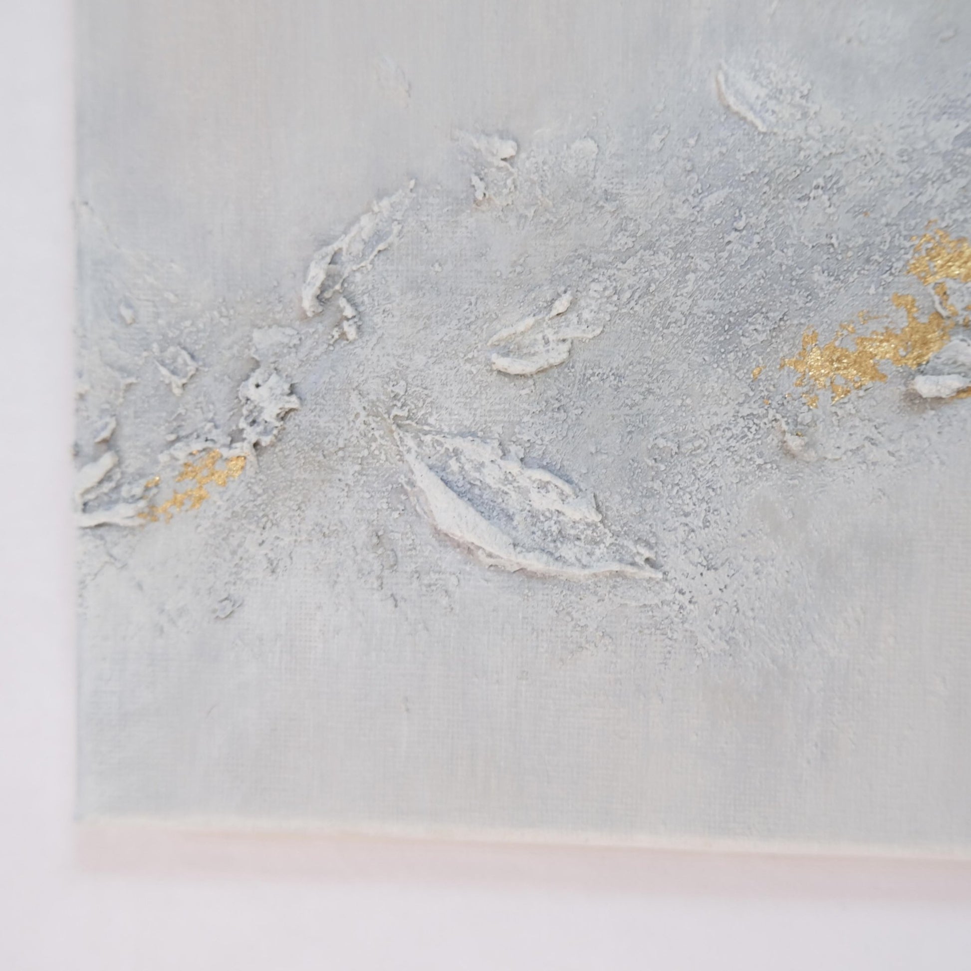 静けさの光り - cool - FROM ARTIST