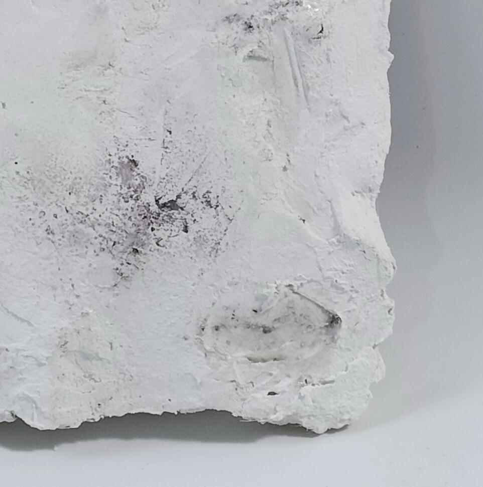 Ebb and Flow−海の呼吸 - FROM ARTIST