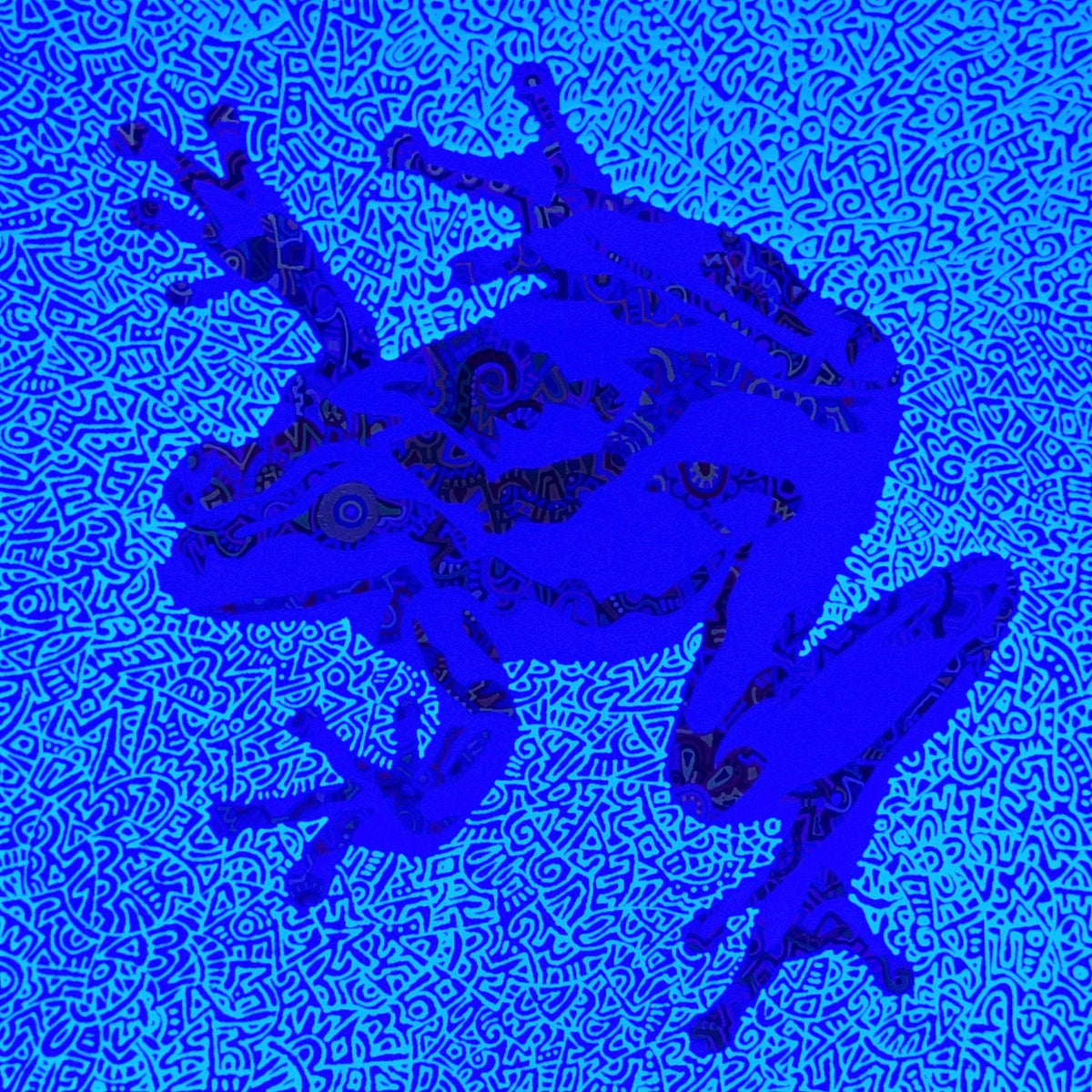 focus - 蛙 #2 - FROM ARTIST