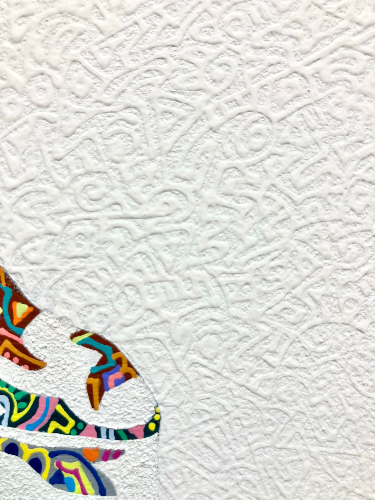 focus - 蛙 #2 - FROM ARTIST