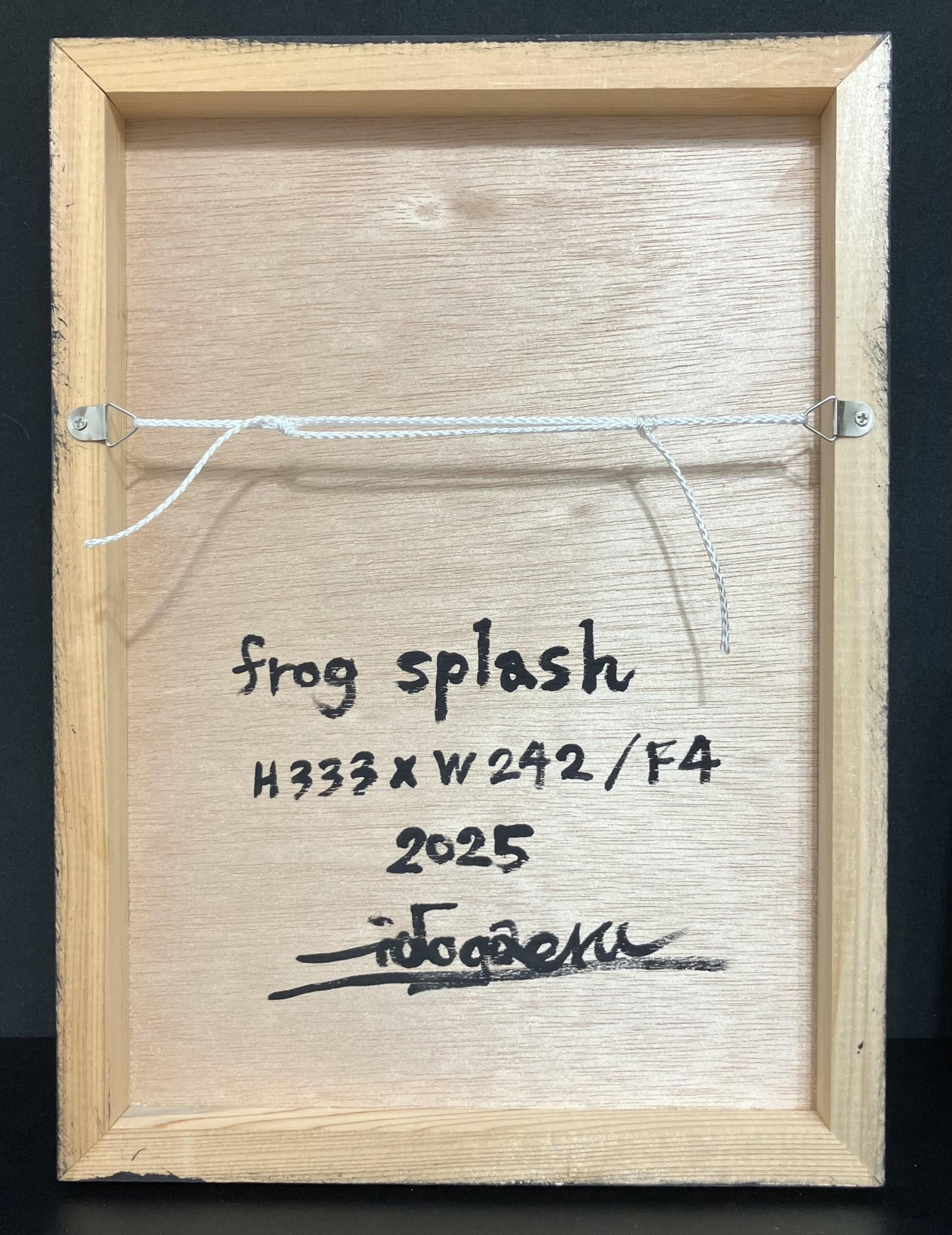 frog splash - FROM ARTIST