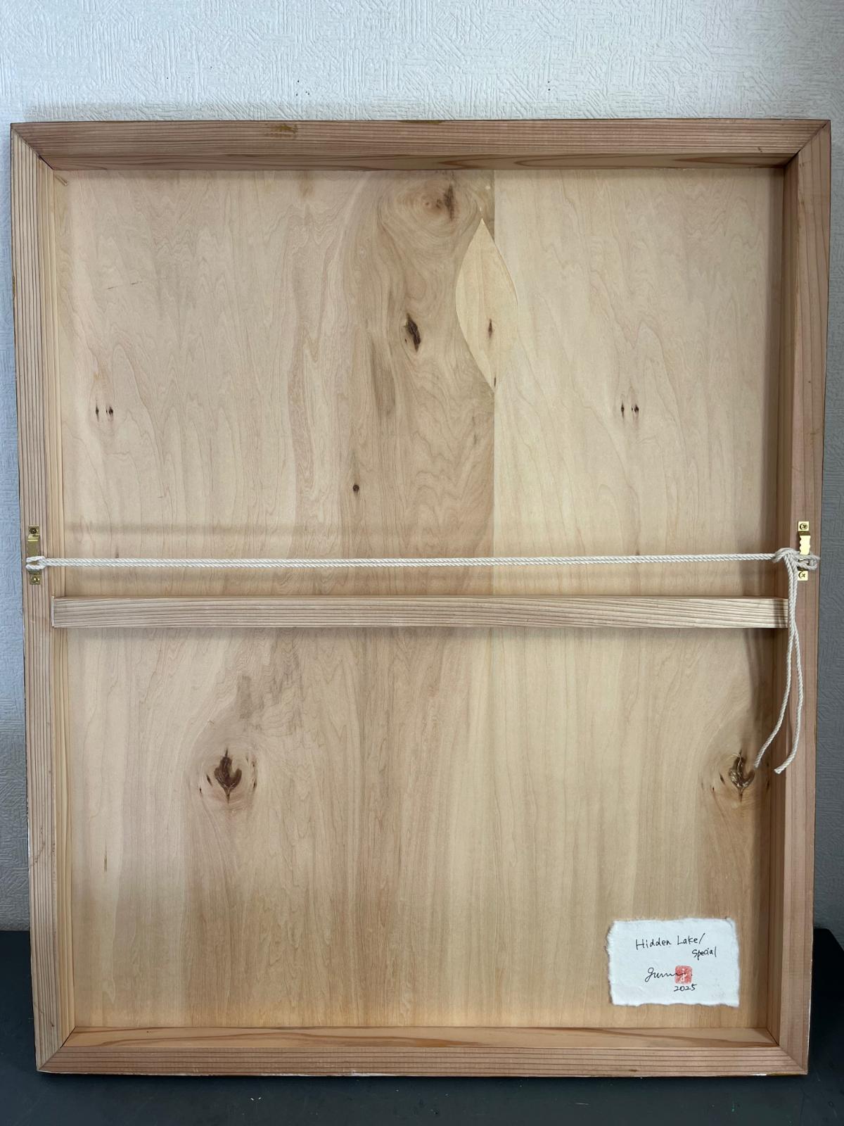 Hidden Lake/special - FROM ARTIST