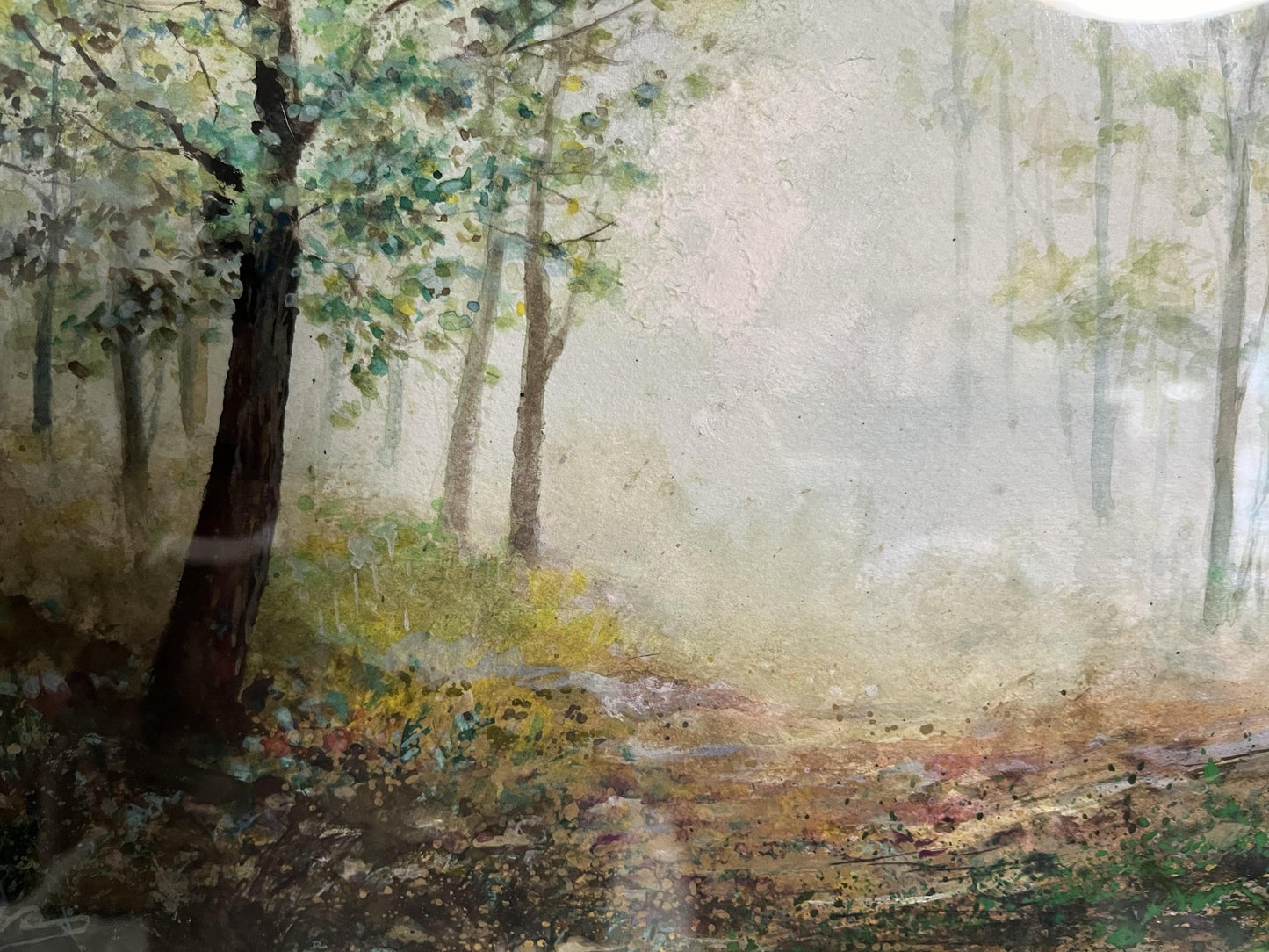 鷹取山の朝 - FROM ARTIST