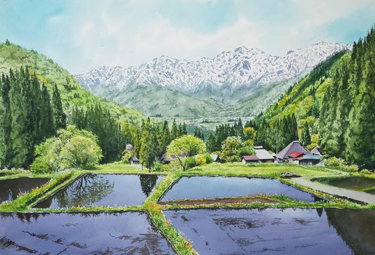 残雪望む棚田 - FROM ARTIST