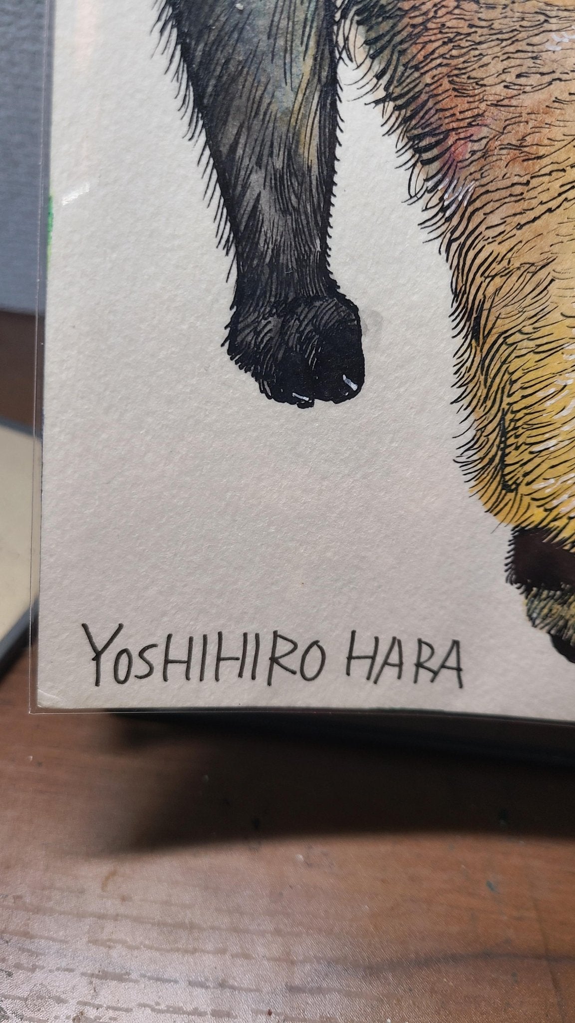 オオアリクイ - FROM ARTIST