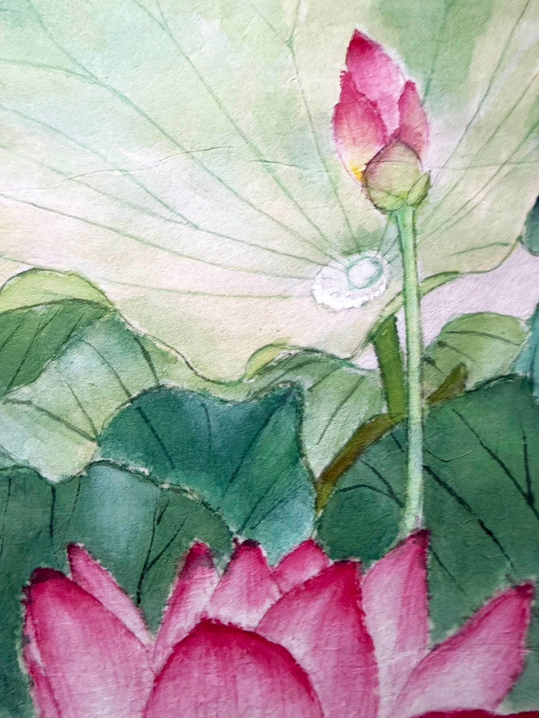 命の雫 - FROM ARTIST