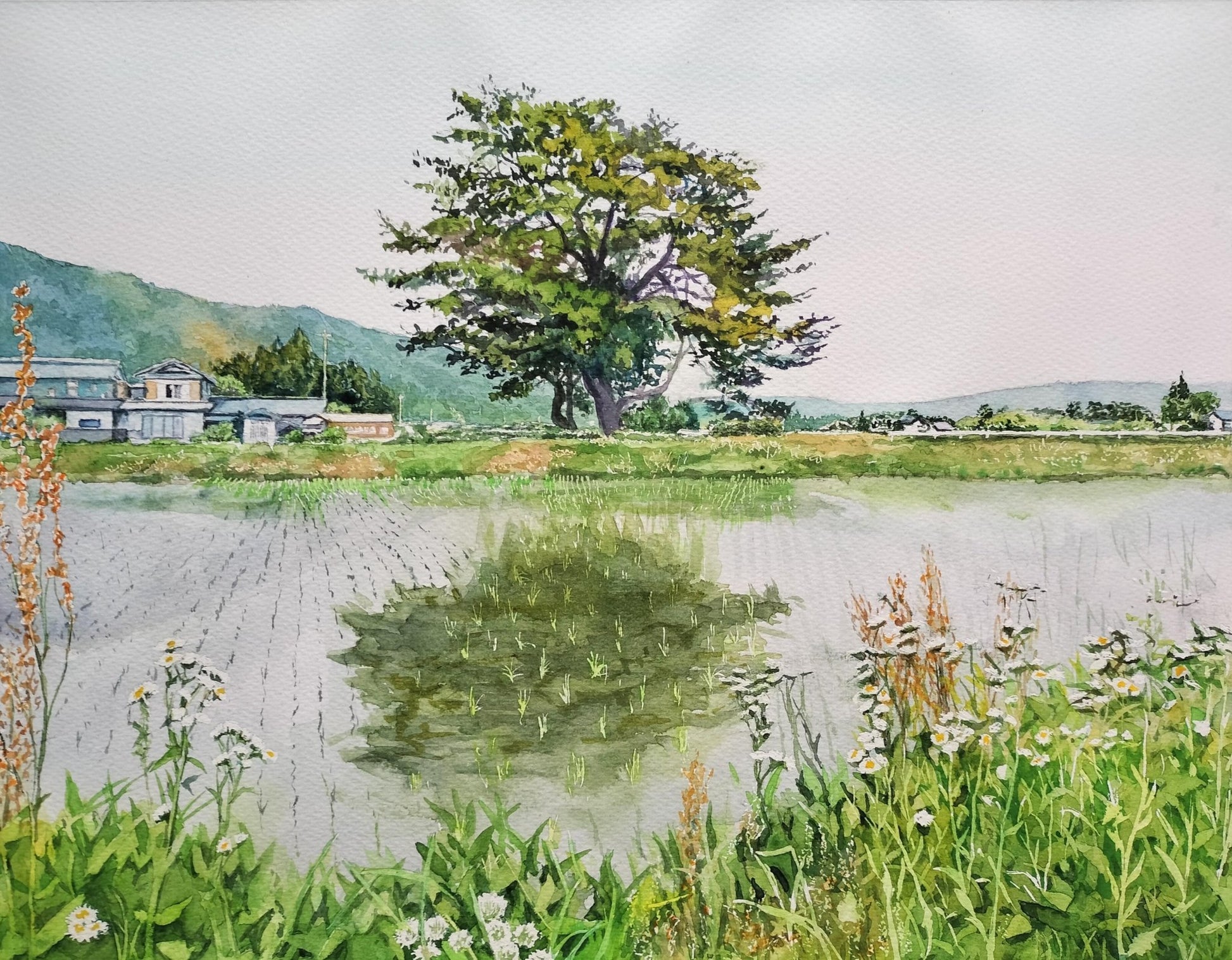 松川の一本松 - FROM ARTIST