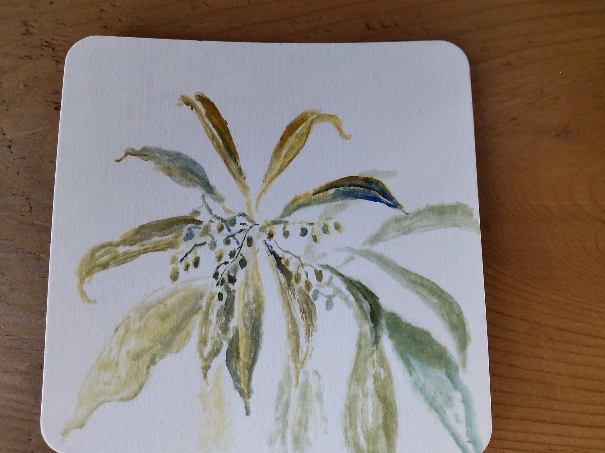 アセビのスケッチ - FROM ARTIST