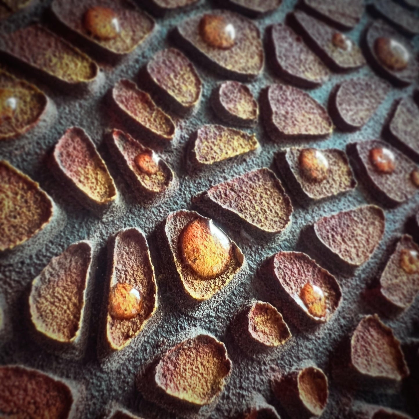 甦る大地 - FROM ARTIST