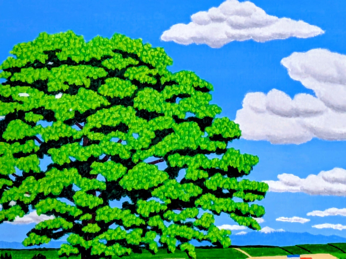 美瑛セブンスターの大木 - FROM ARTIST