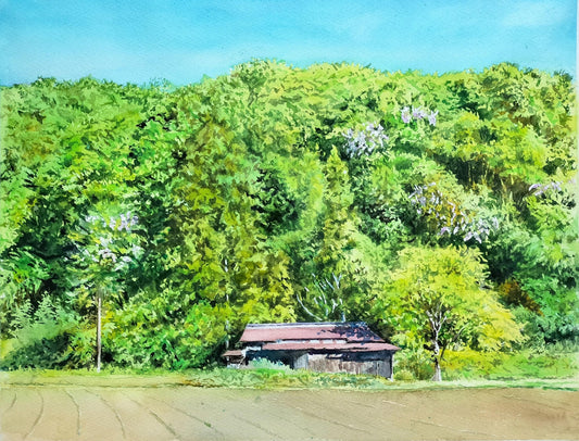 緑の中の廃屋 - FROM ARTIST
