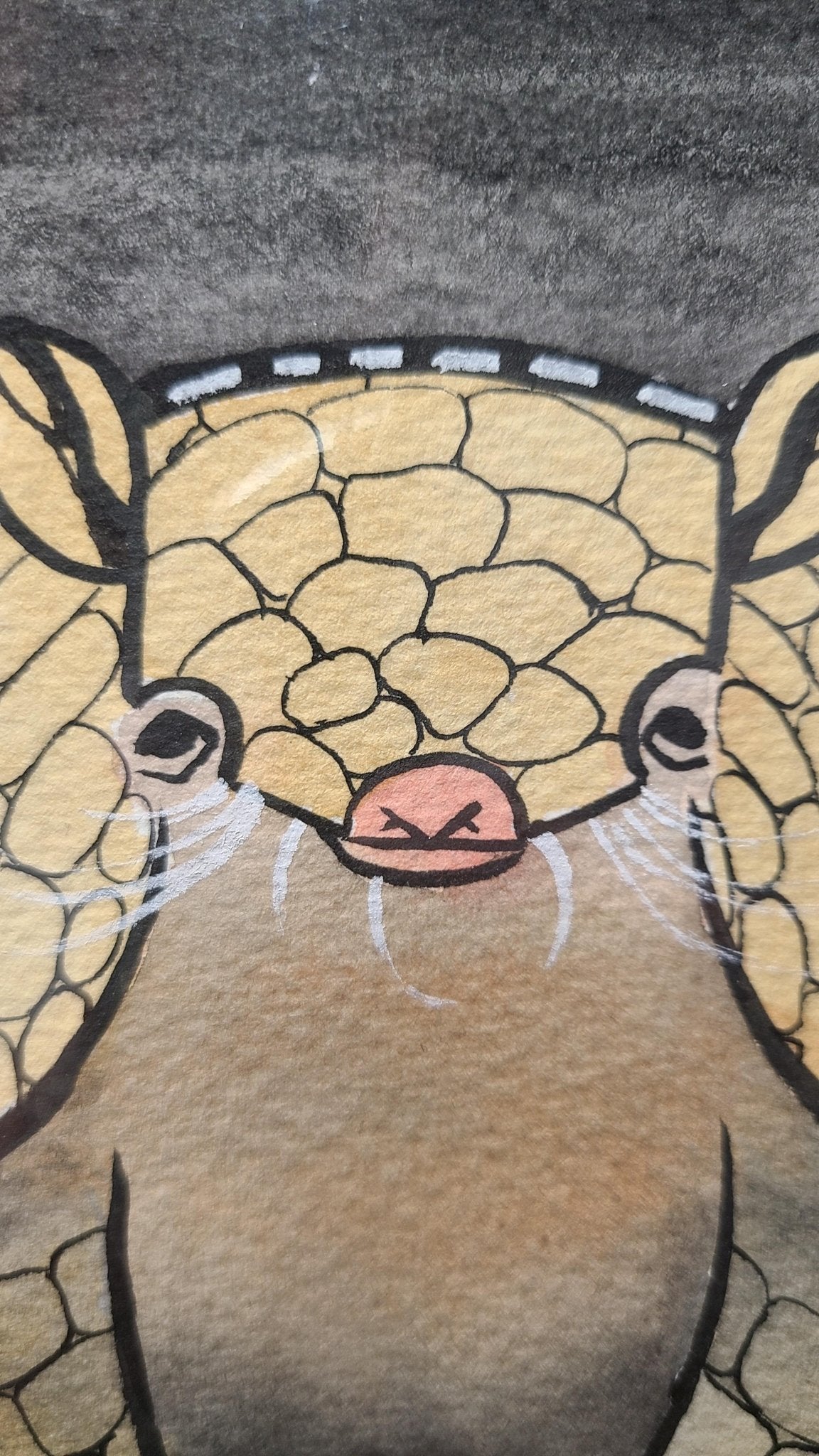 アルマジロ - FROM ARTIST