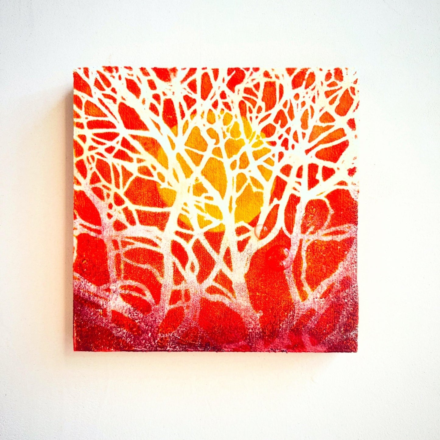 凍光（とうこう）の森 - FROM ARTIST