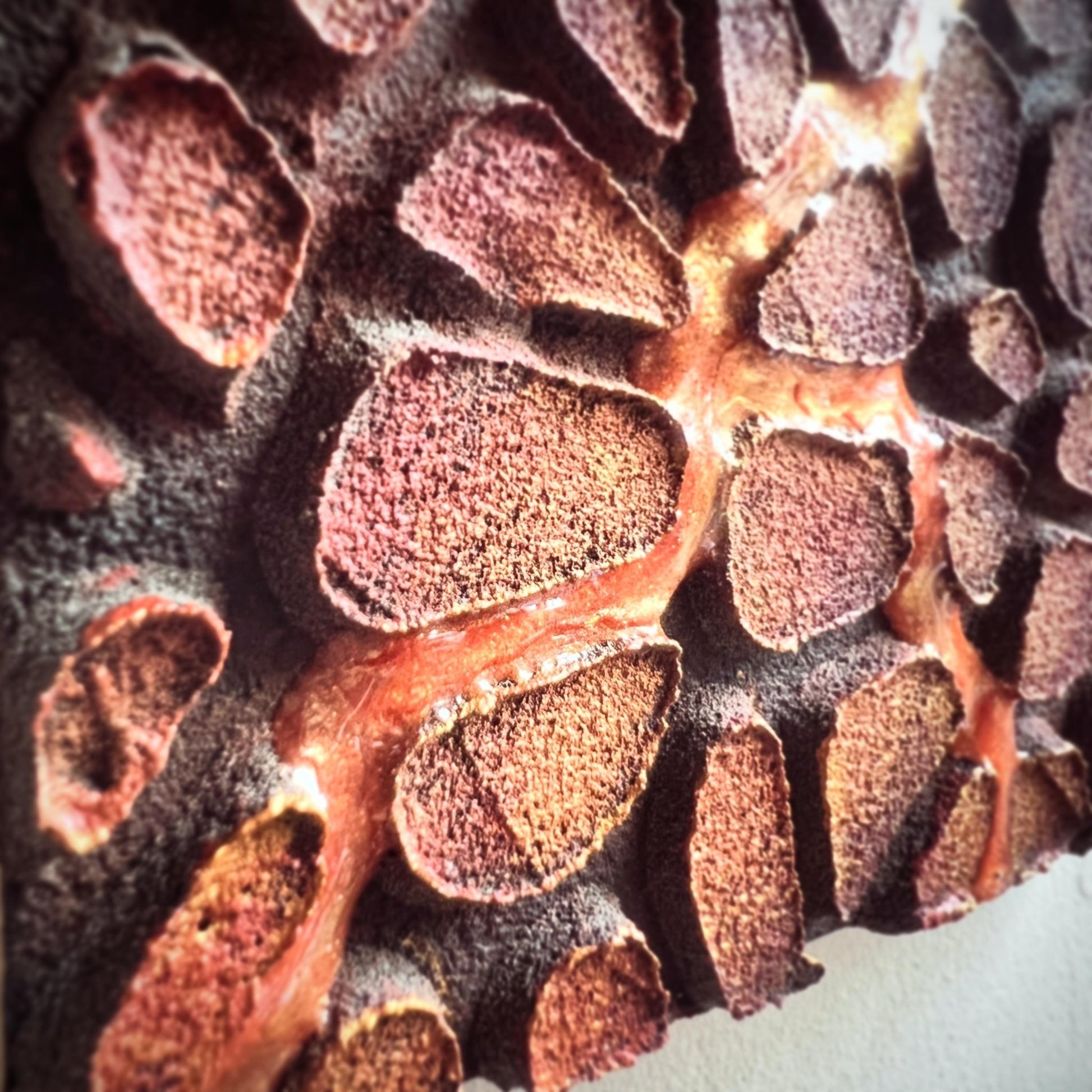 脈打つ大地 - FROM ARTIST