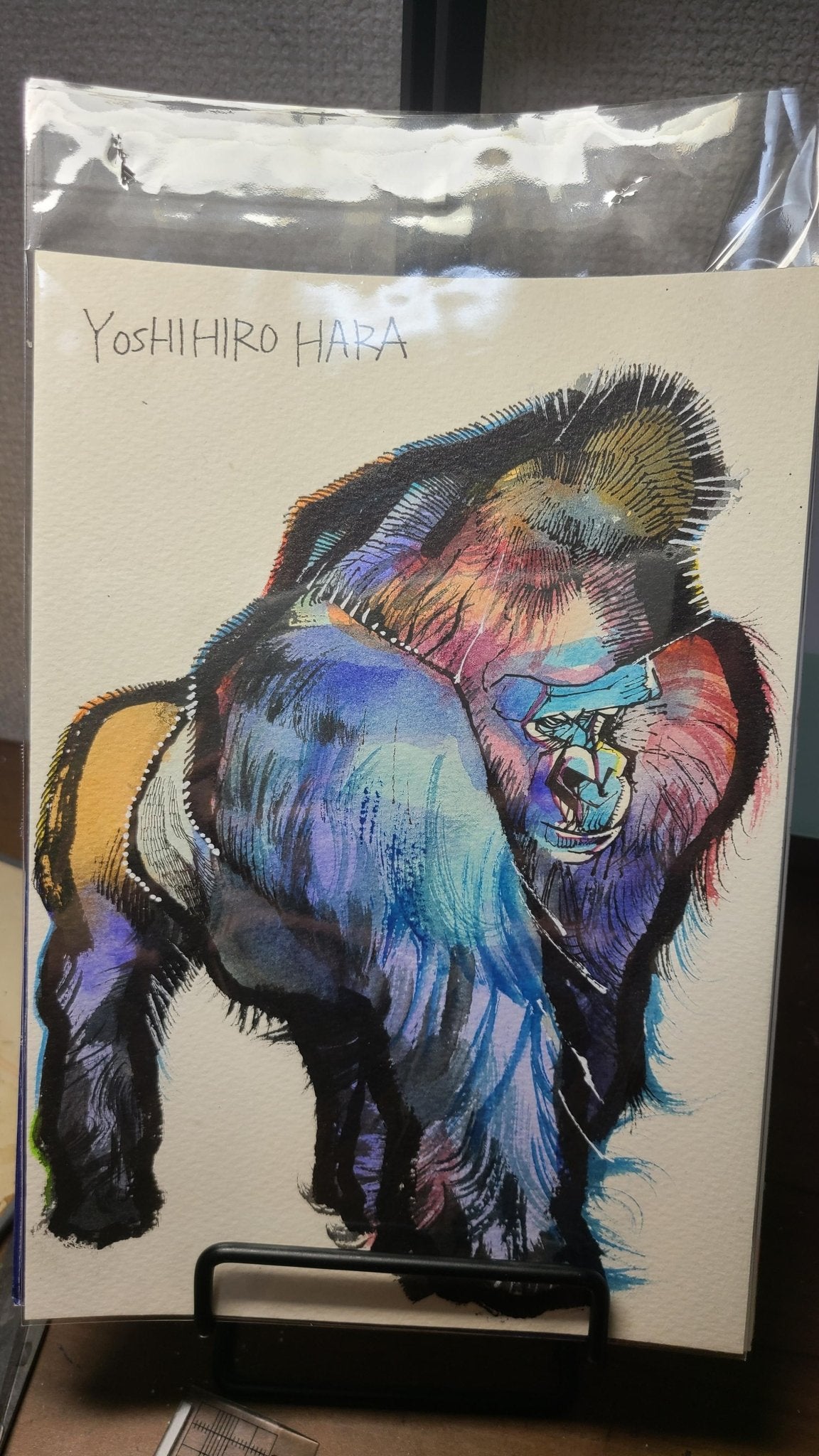 ニシゴリラのハオコ - FROM ARTIST