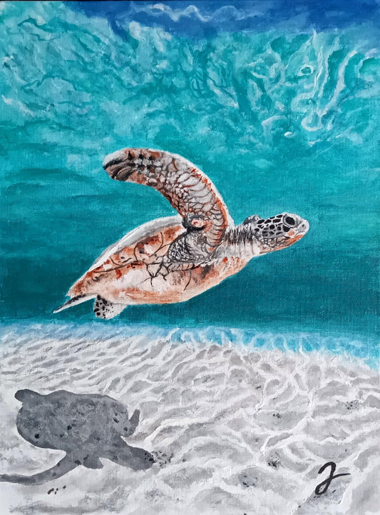海の旅人 - FROM ARTIST