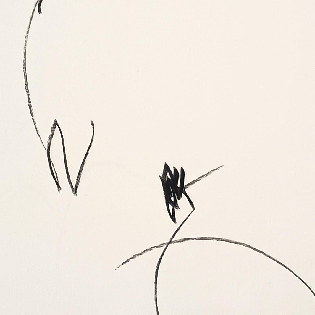 朝の小鳥 - FROM ARTIST