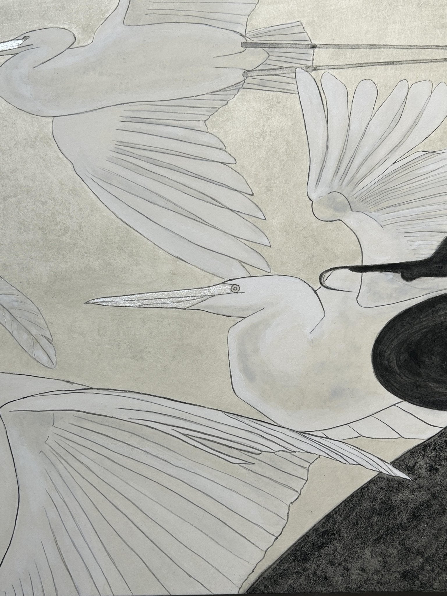白いもの〜鳥〜 - FROM ARTIST