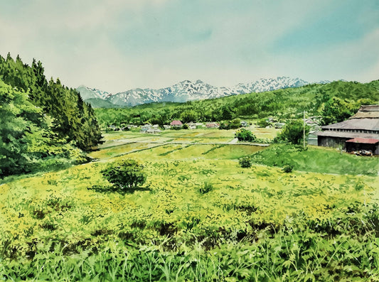 白馬を望む - FROM ARTIST