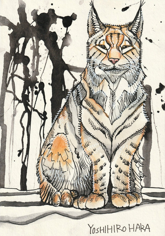 シベリアオオヤマネコ(名前は、ポテト) - FROM ARTIST