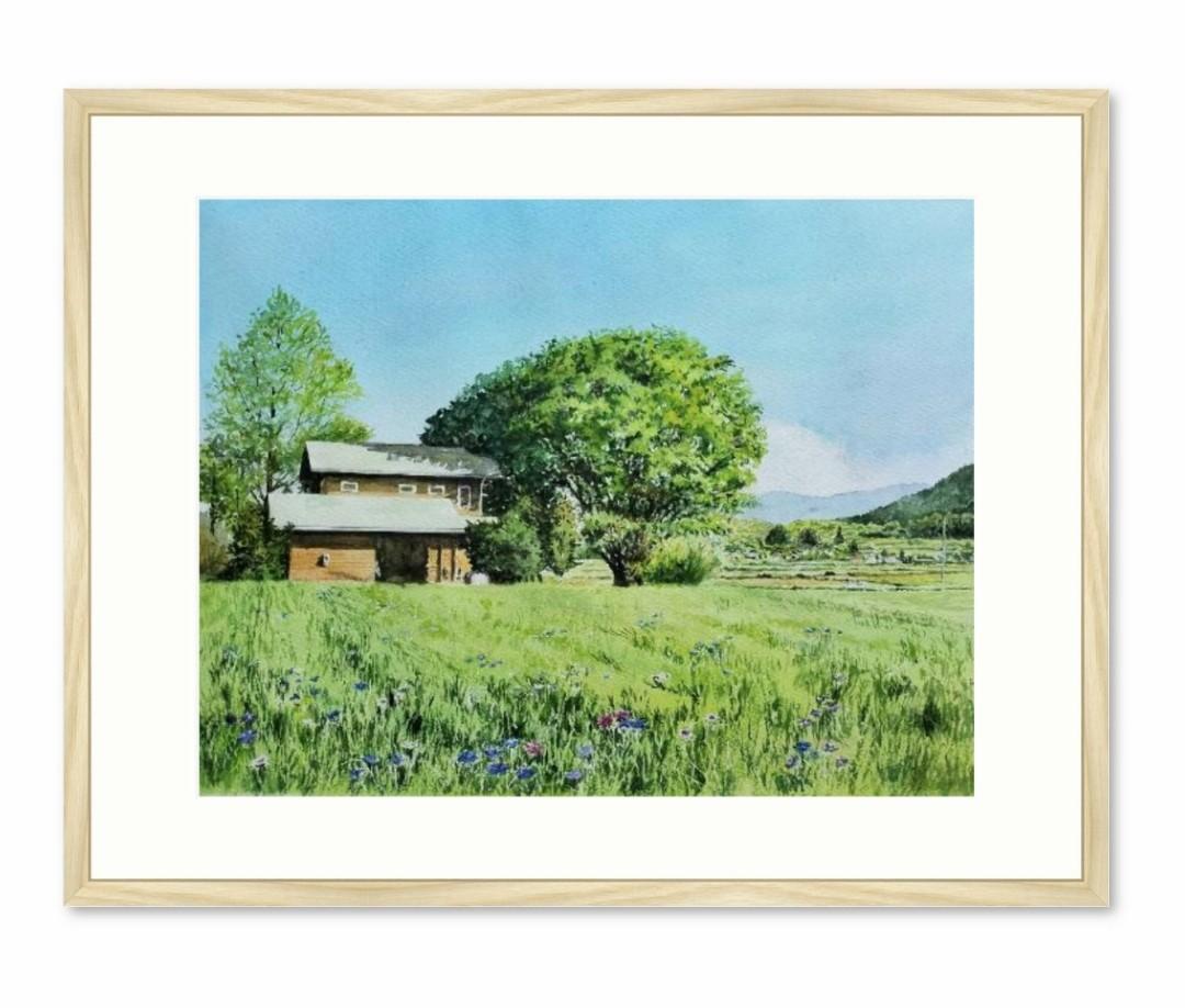 ヤグルマギクに包まれて - FROM ARTIST