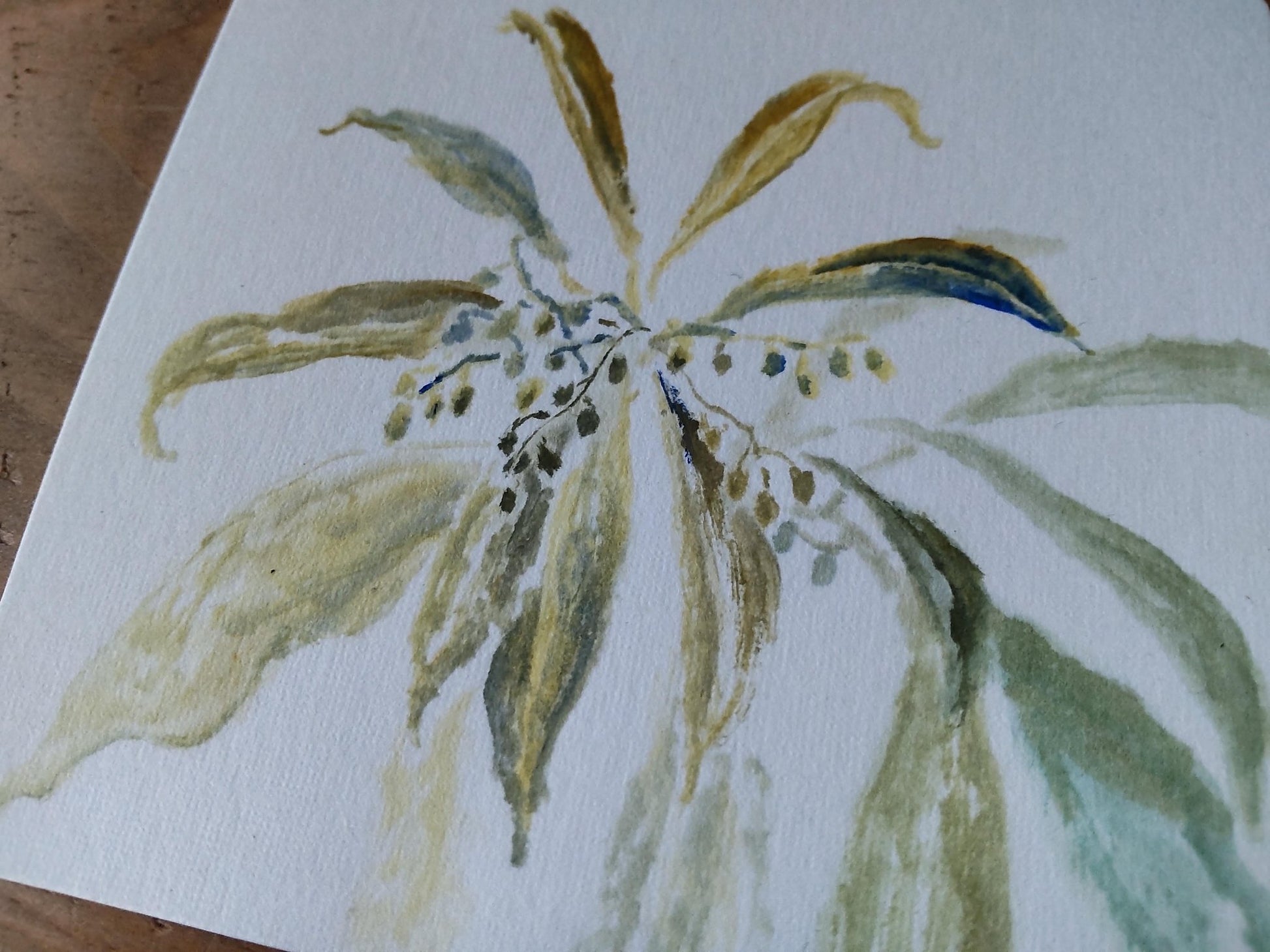 アセビのスケッチ - FROM ARTIST