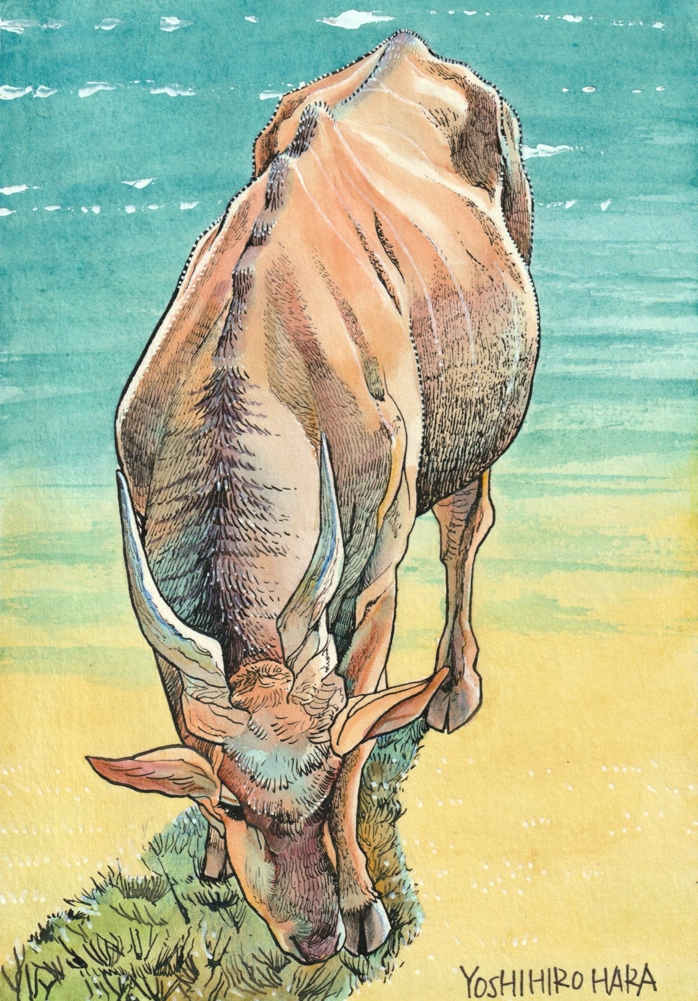 エランド - FROM ARTIST