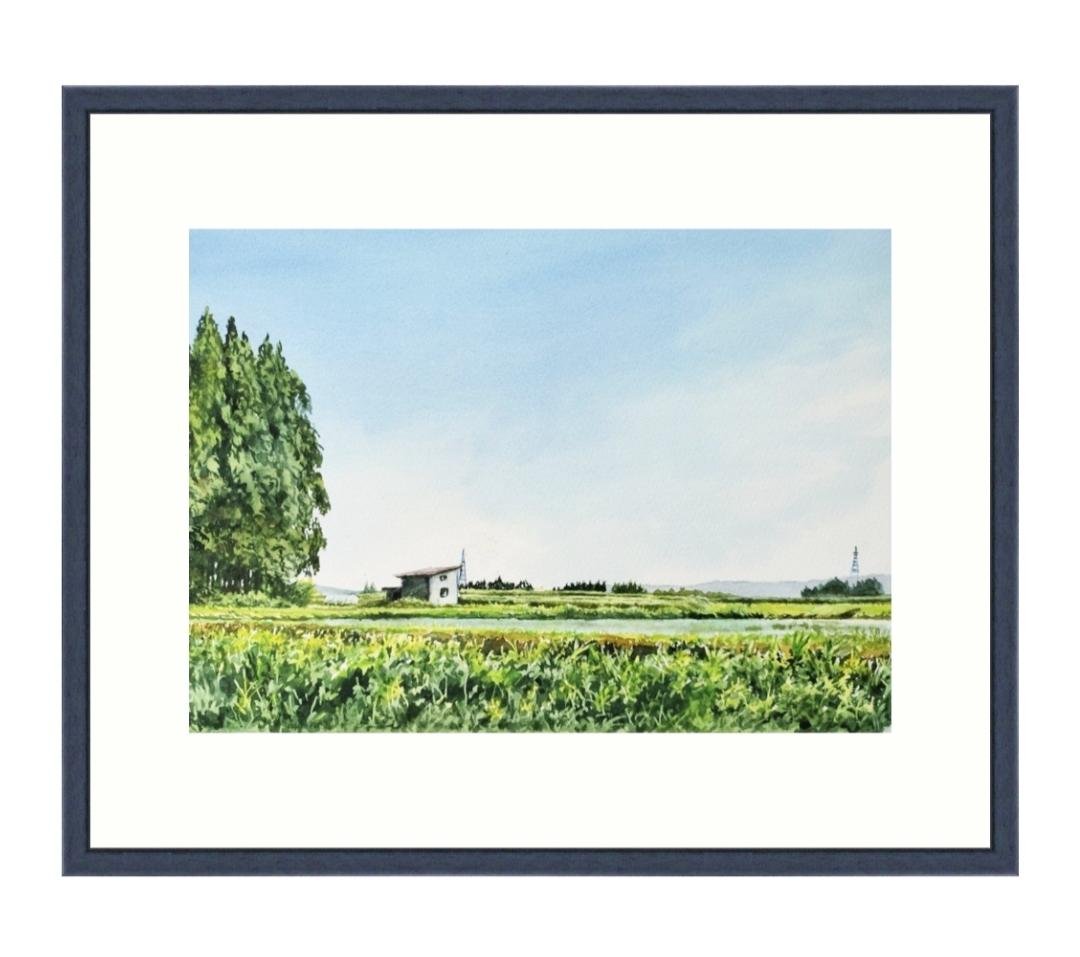 五月晴れを仰ぐ - FROM ARTIST