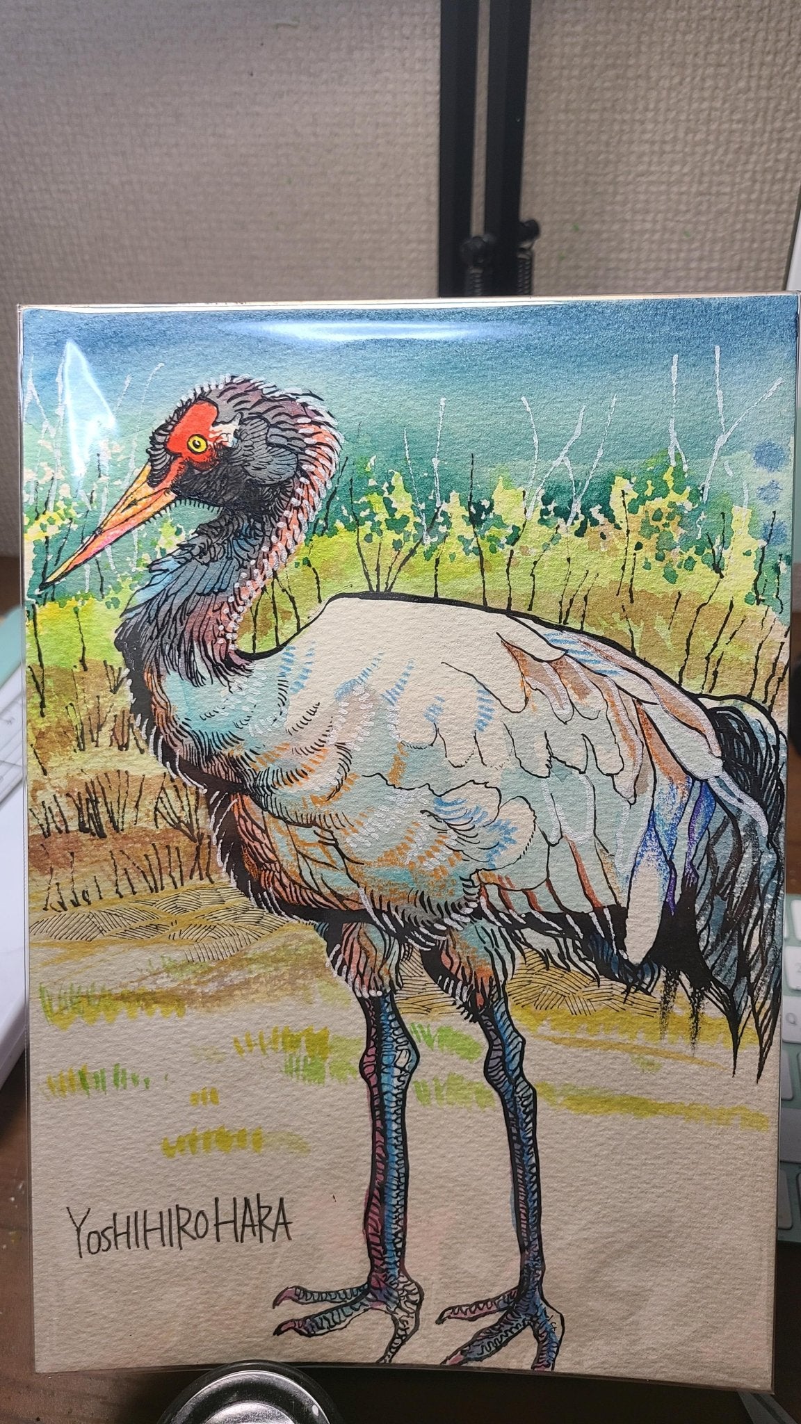 オグロヅル - FROM ARTIST