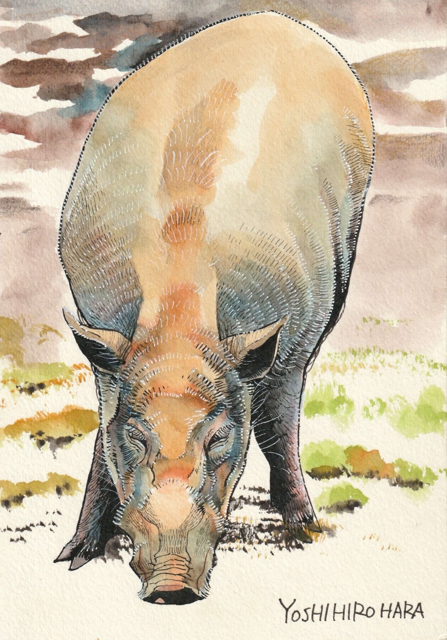 ニホンイノシシ - FROM ARTIST