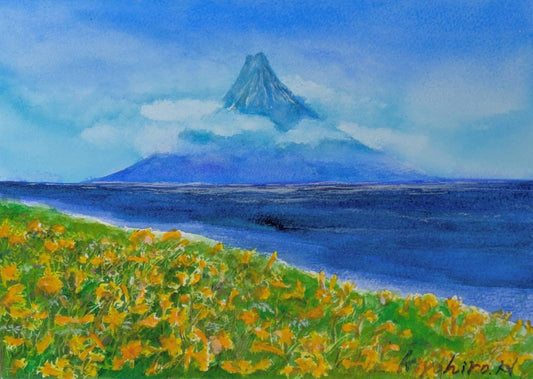 利尻富士とエゾカンゾウ - FROM ARTIST