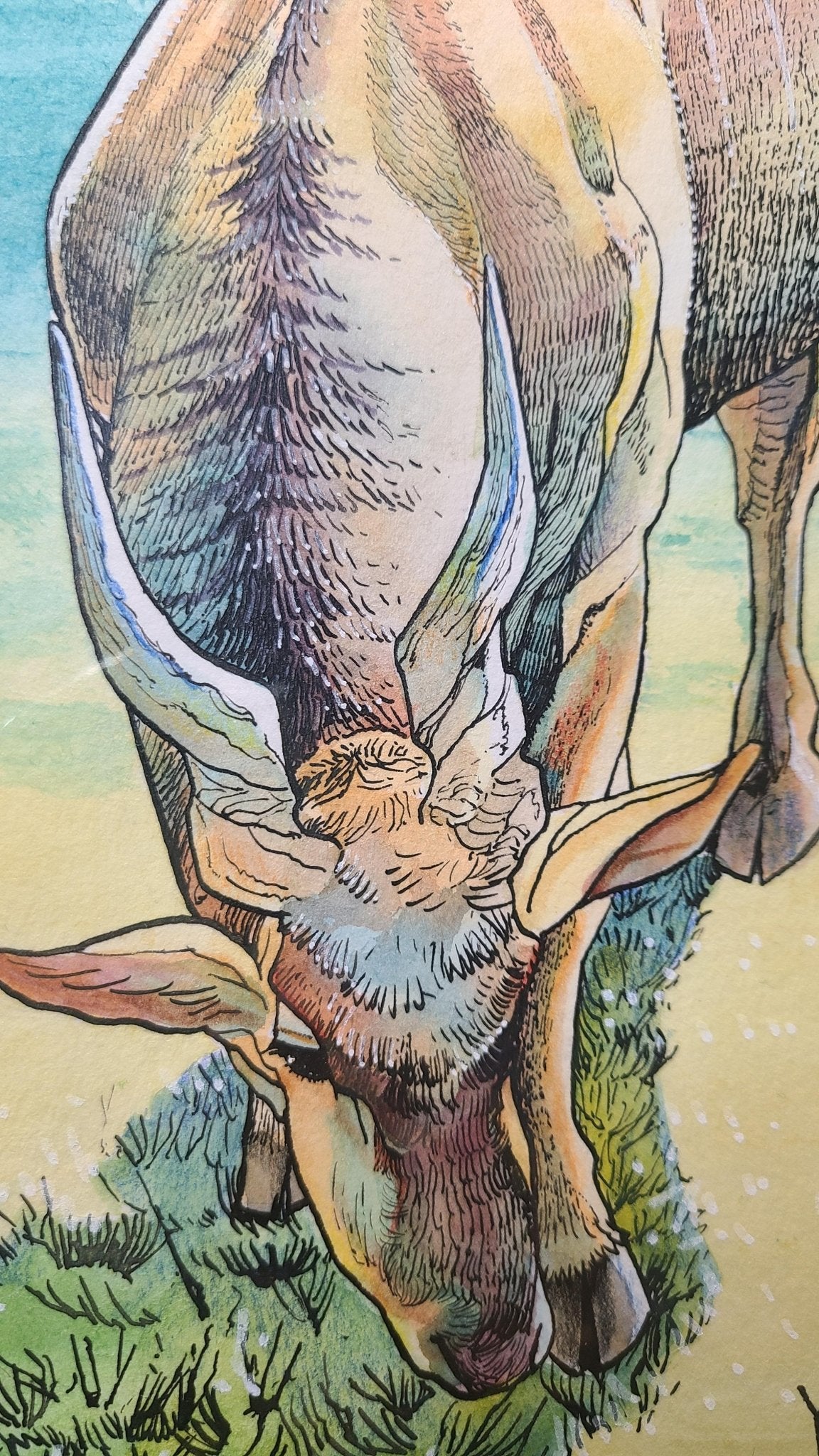 エランド - FROM ARTIST