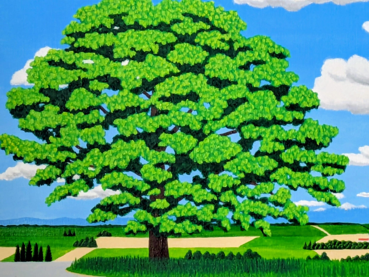 美瑛セブンスターの大木 - FROM ARTIST