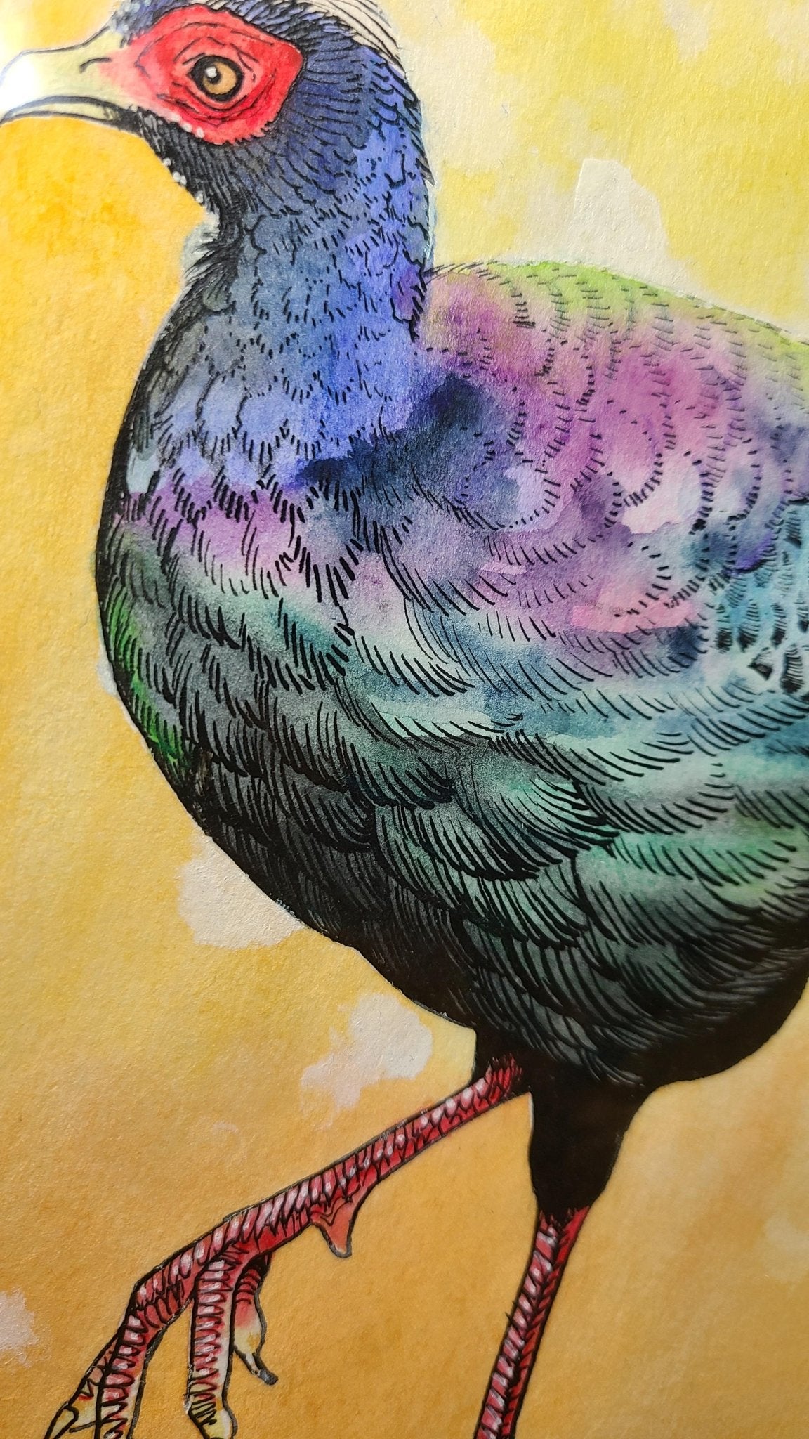 絵画の通販、購入ならFROM ARTIST/作品名：ベトナムキジ/作家名：はら