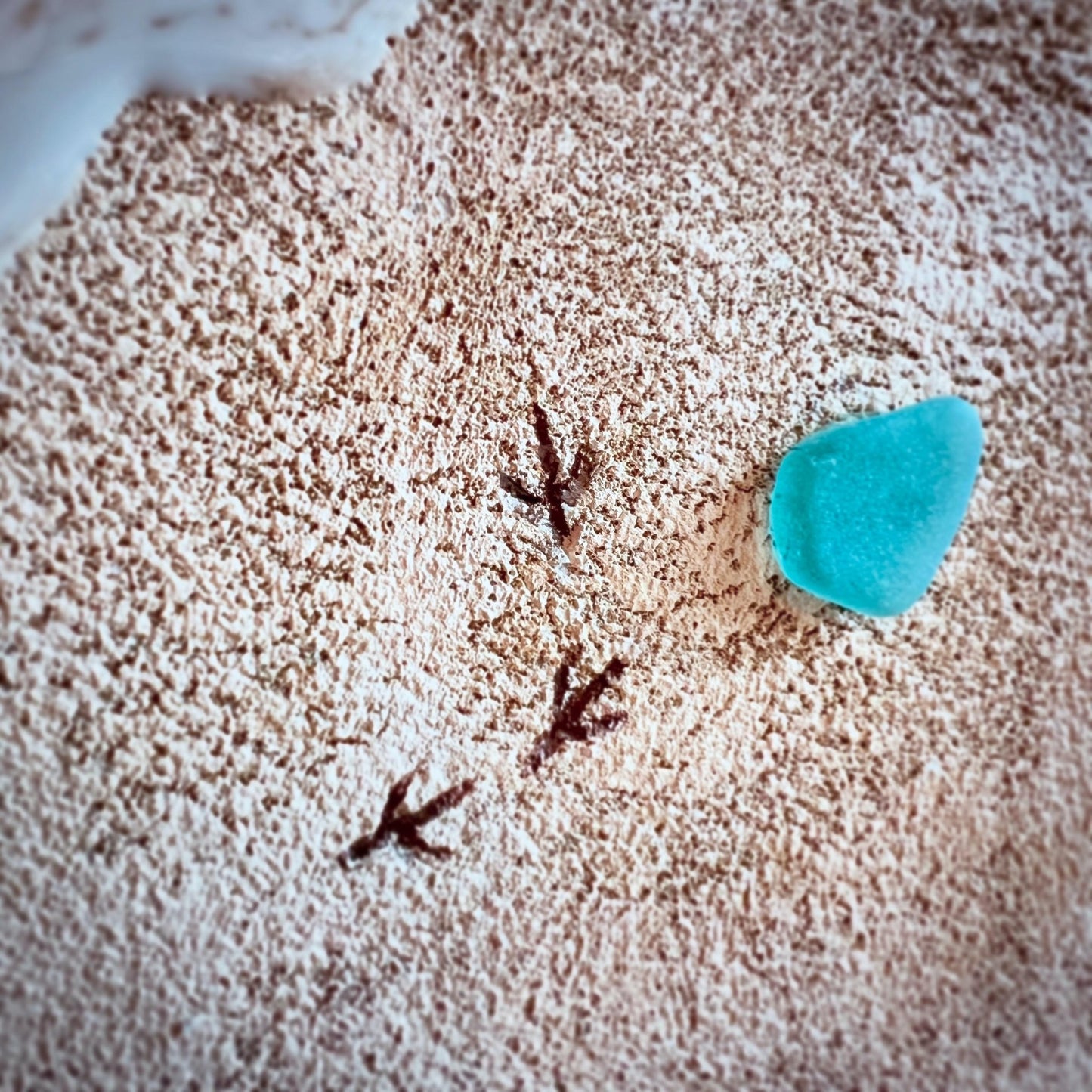 羽音のあと - FROM ARTIST