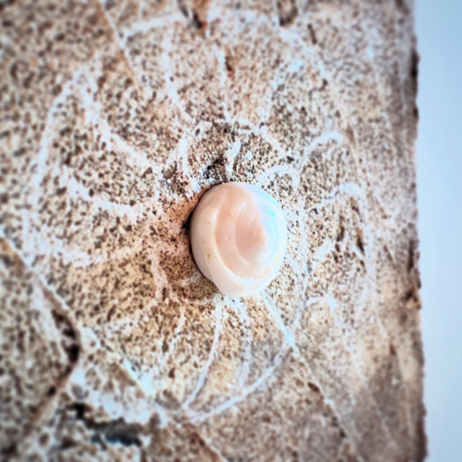 時間に包まれて - FROM ARTIST