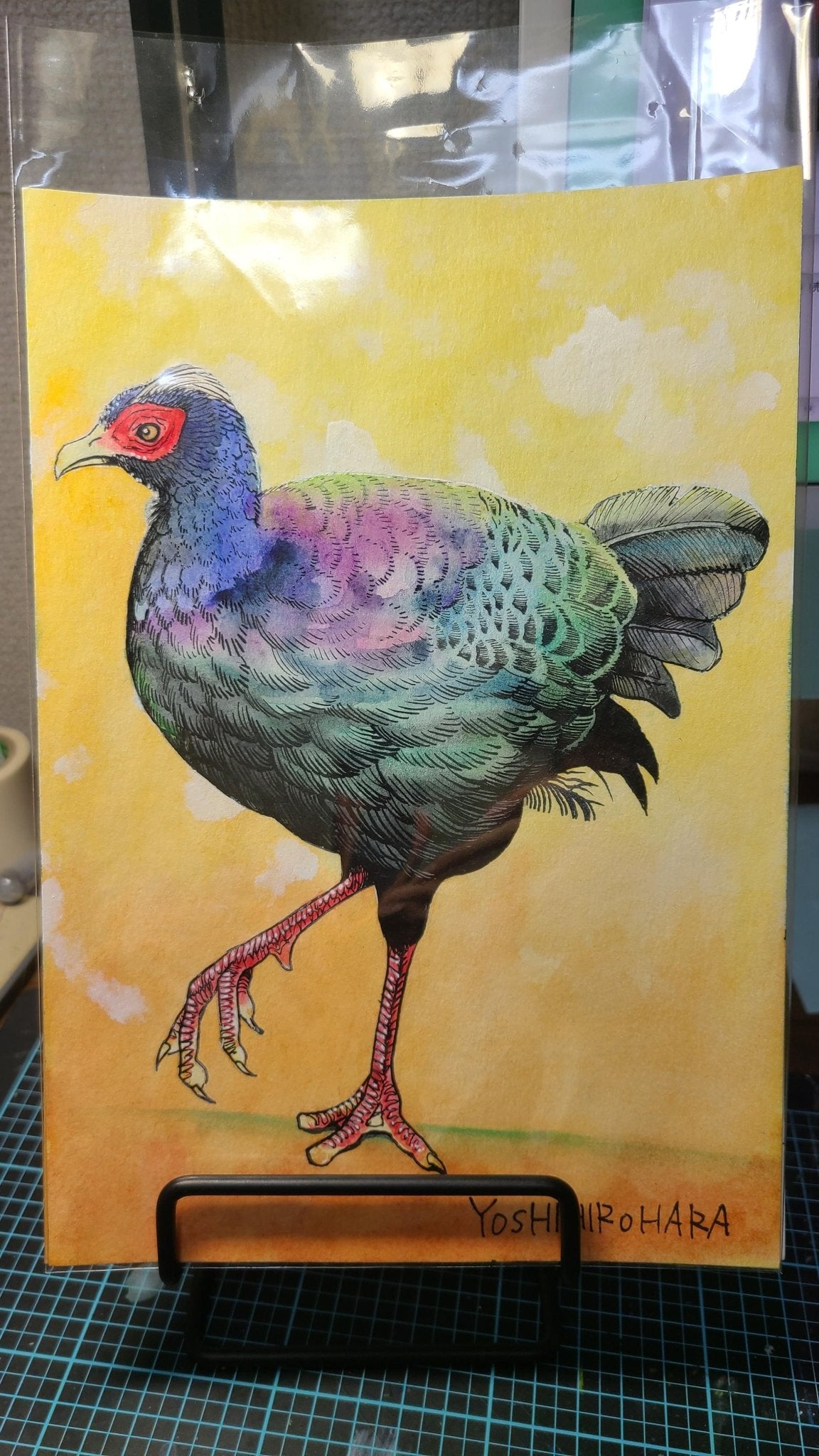 絵画の通販、購入ならFROM ARTIST/作品名：ベトナムキジ/作家名：はら