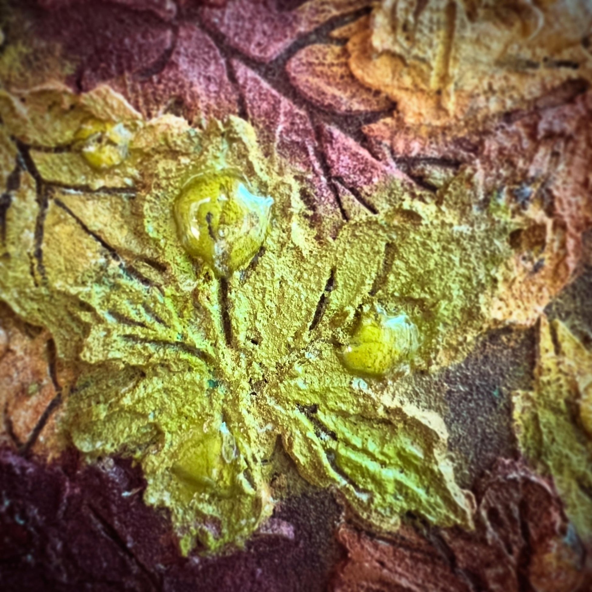 色づく森、雨上がり - FROM ARTIST