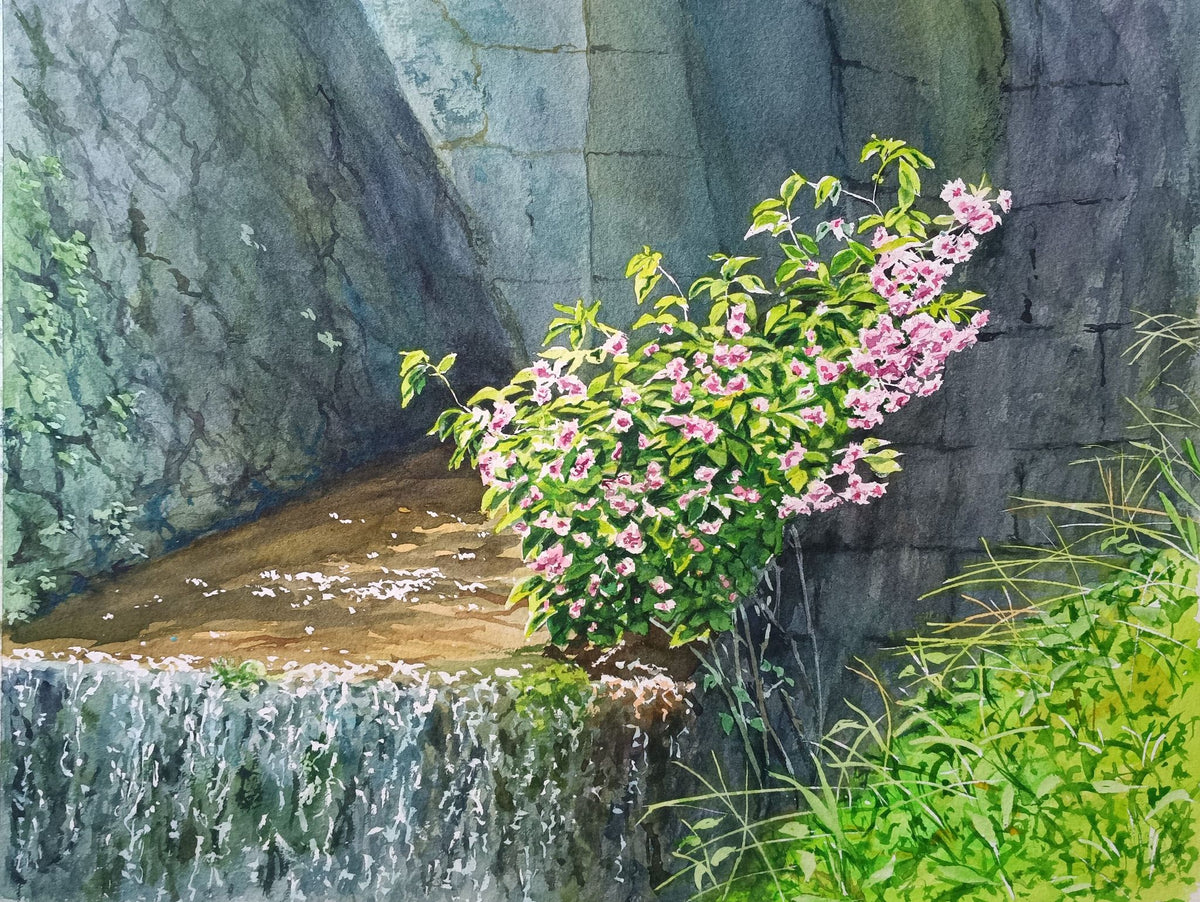 水路を彩る花 - FROM ARTIST