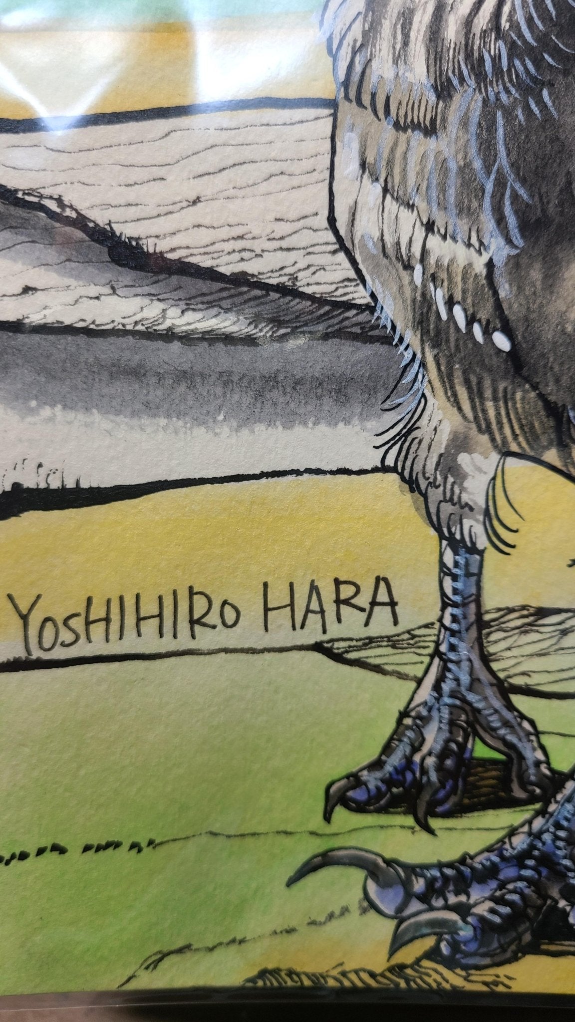 ミナミジサイチョウ - FROM ARTIST